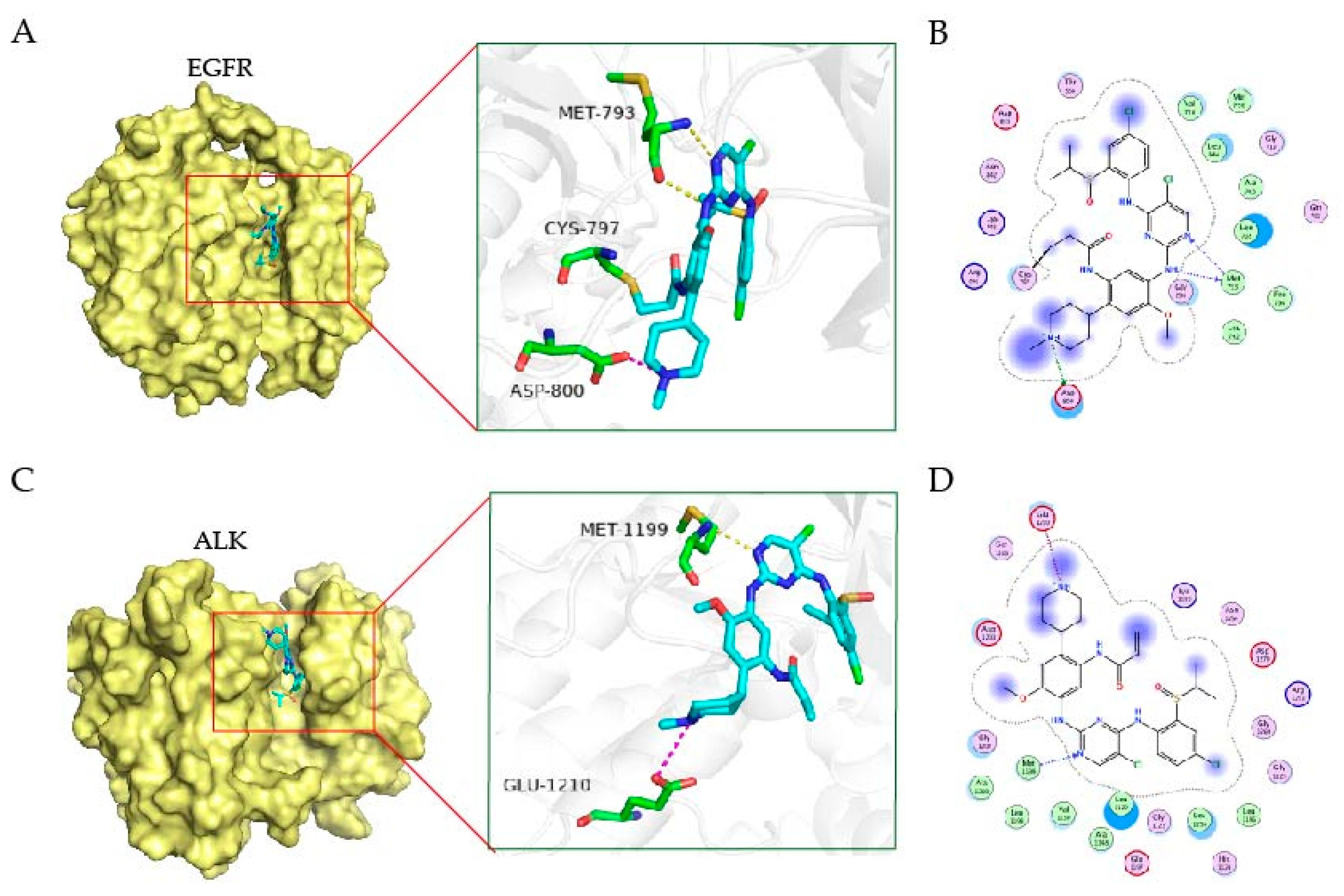 Molecules 28 02006 g003