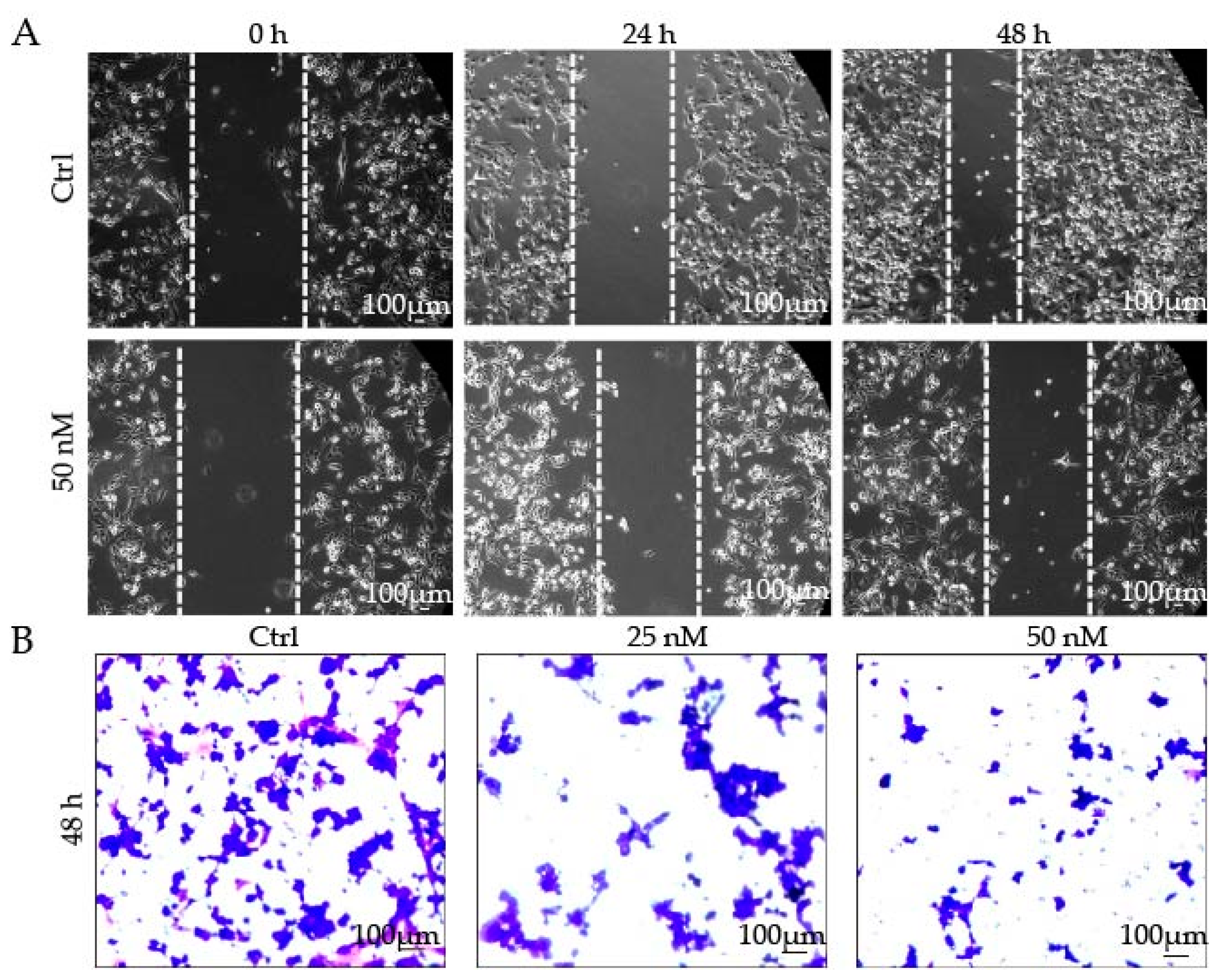 Molecules 28 02006 g005