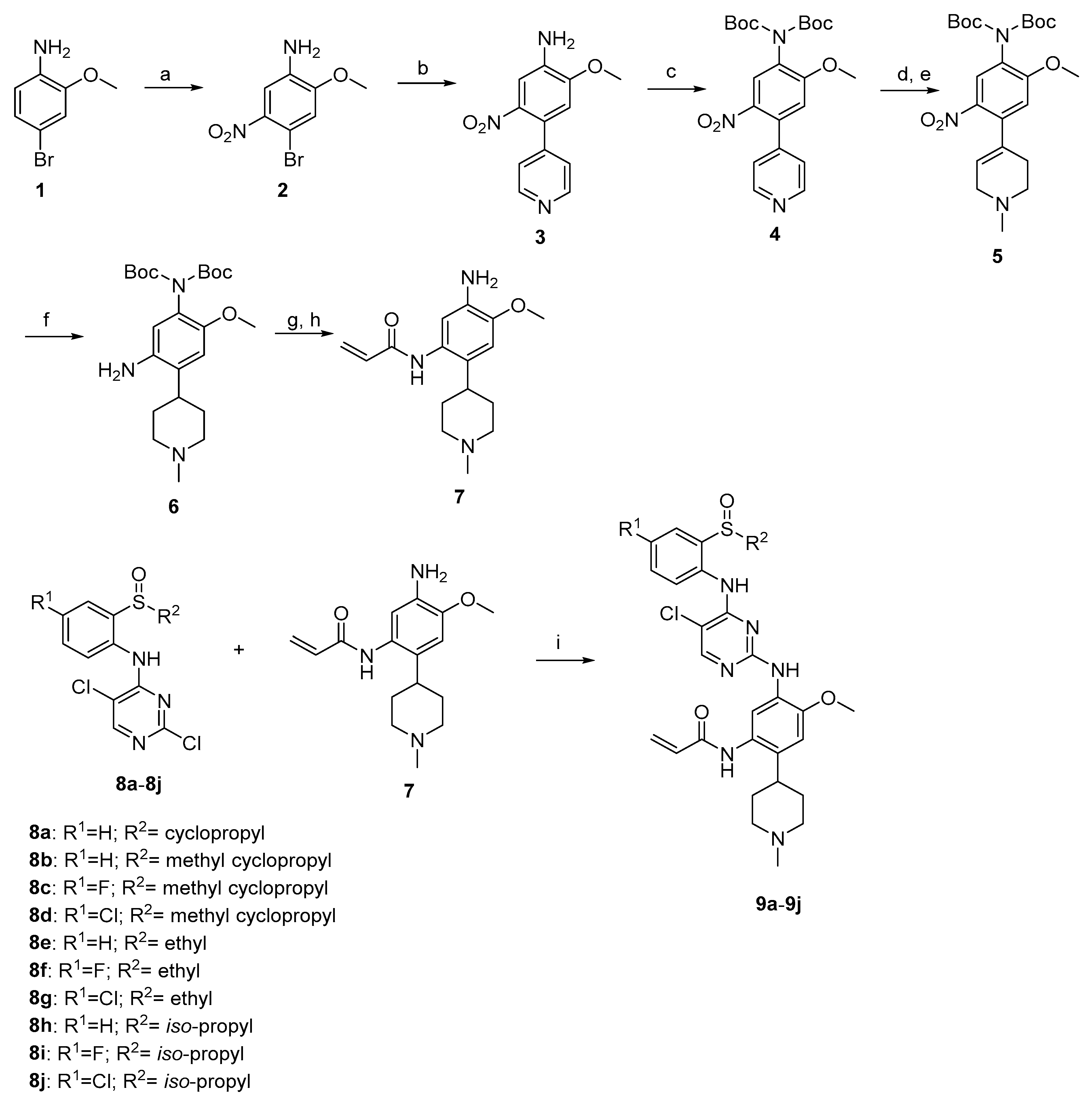 Molecules 28 02006 sch001