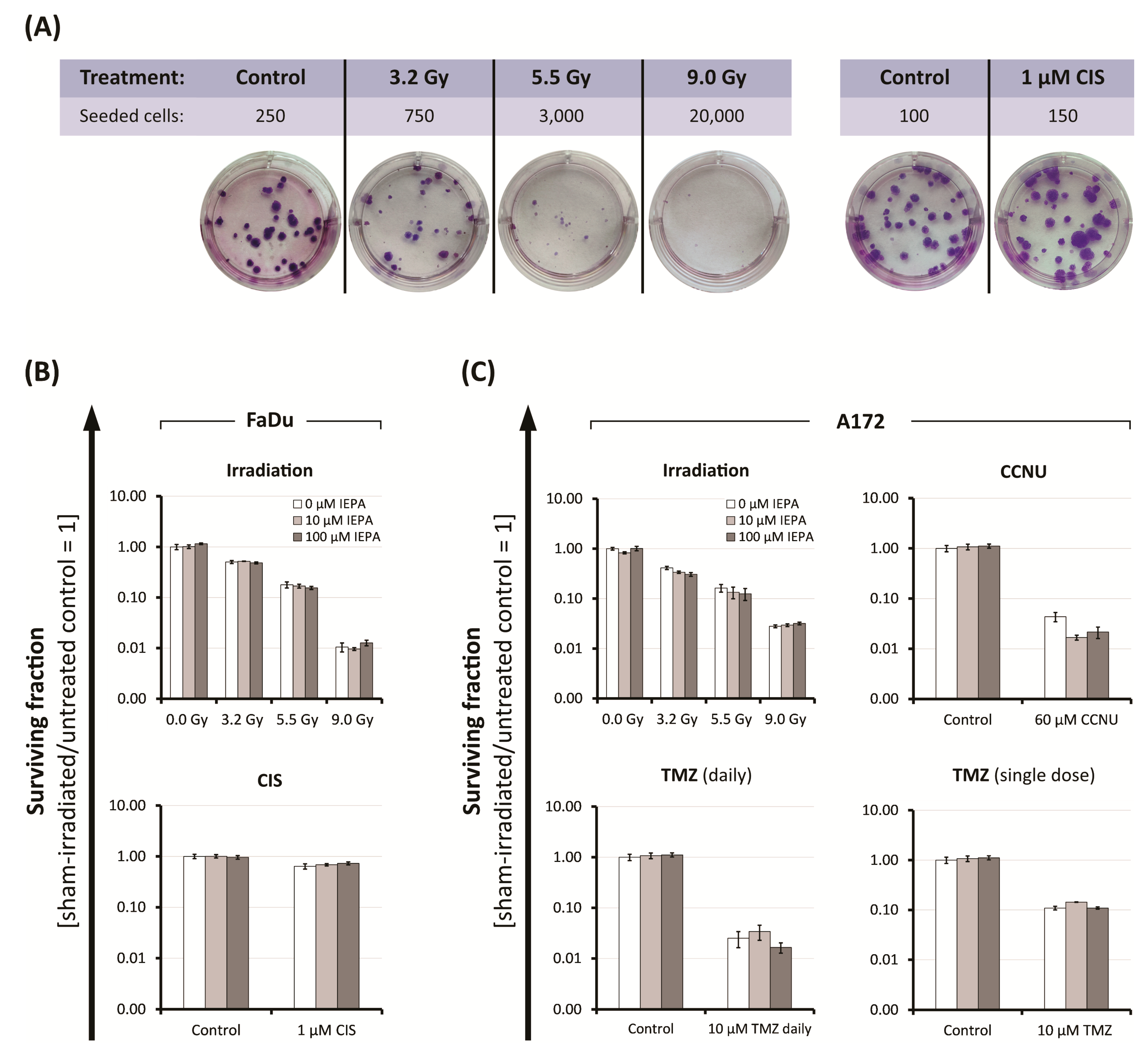 Molecules 28 02008 g004