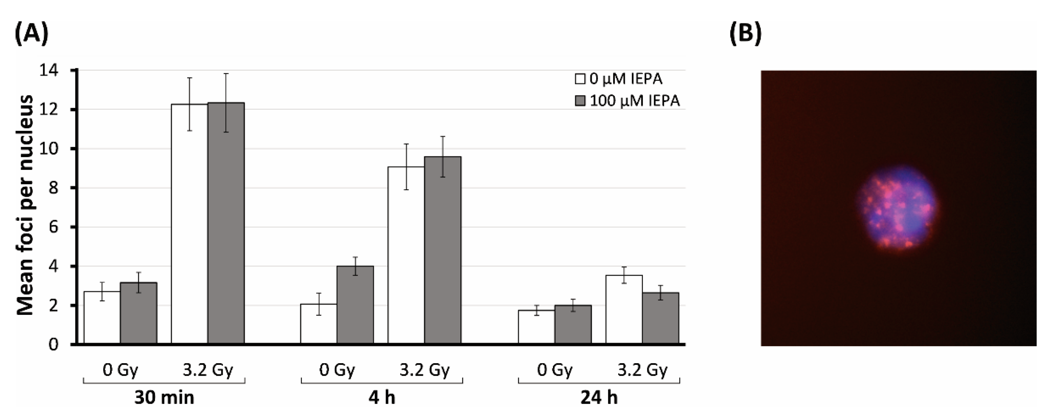 Molecules 28 02008 g008