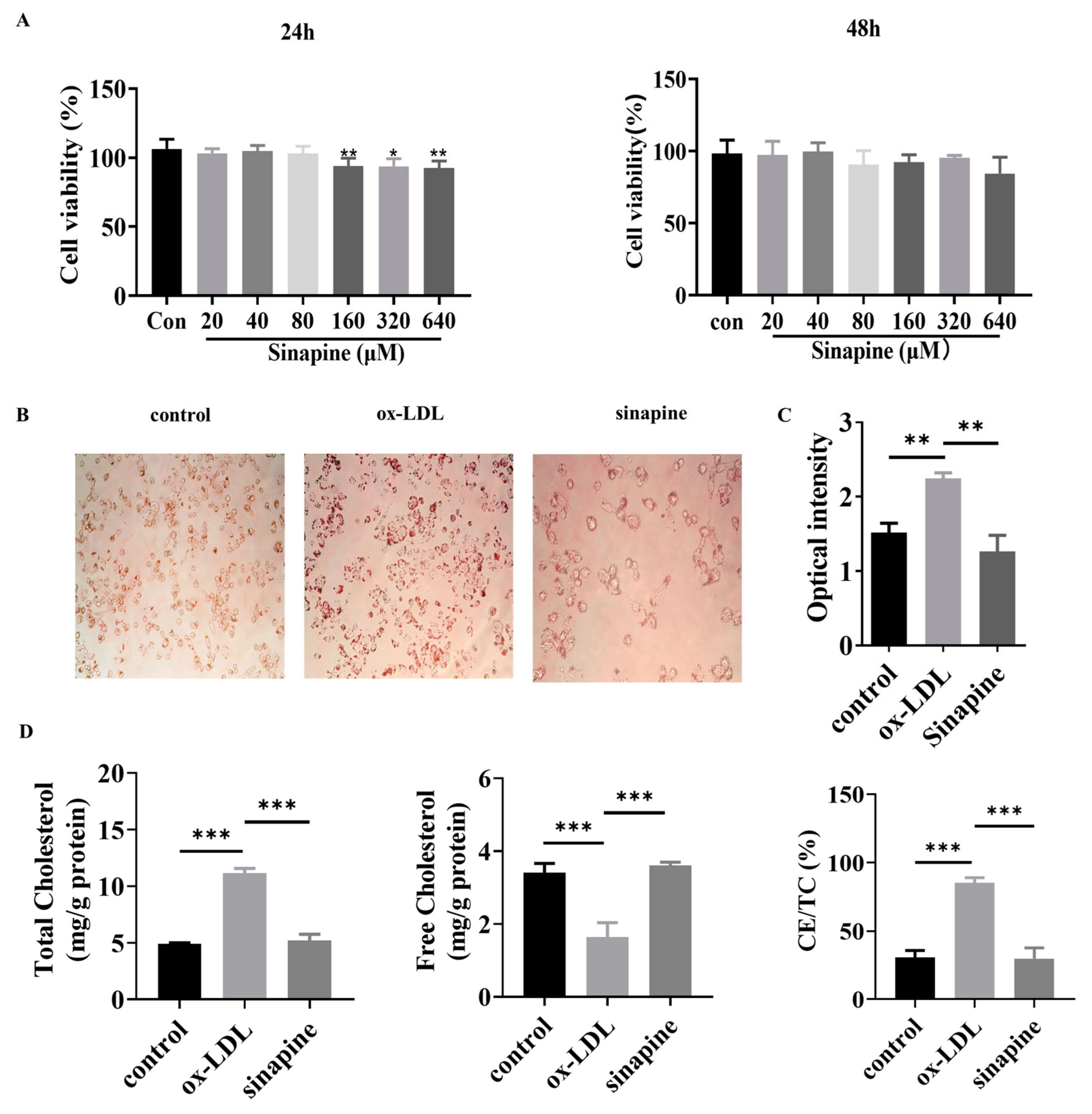 Molecules 28 02012 g002 Molecules 28 02012 g002