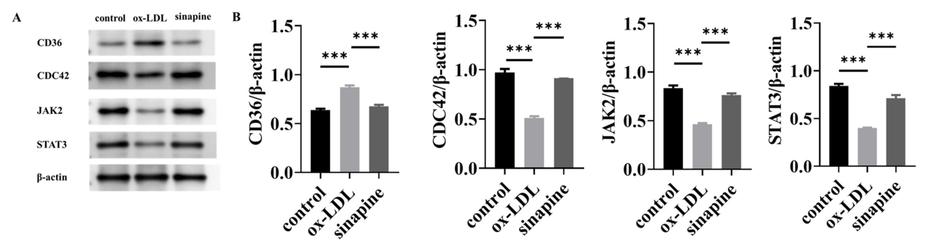 Molecules 28 02012 g006 Molecules 28 02012 g006