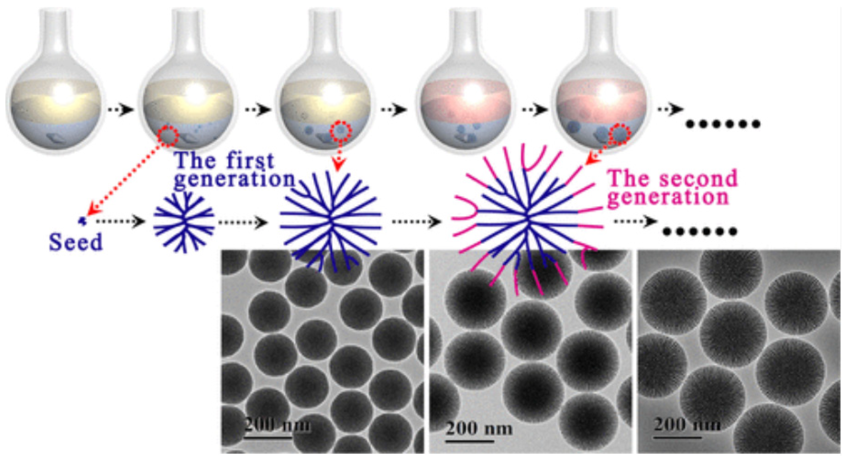 Molecules 28 02013 g001