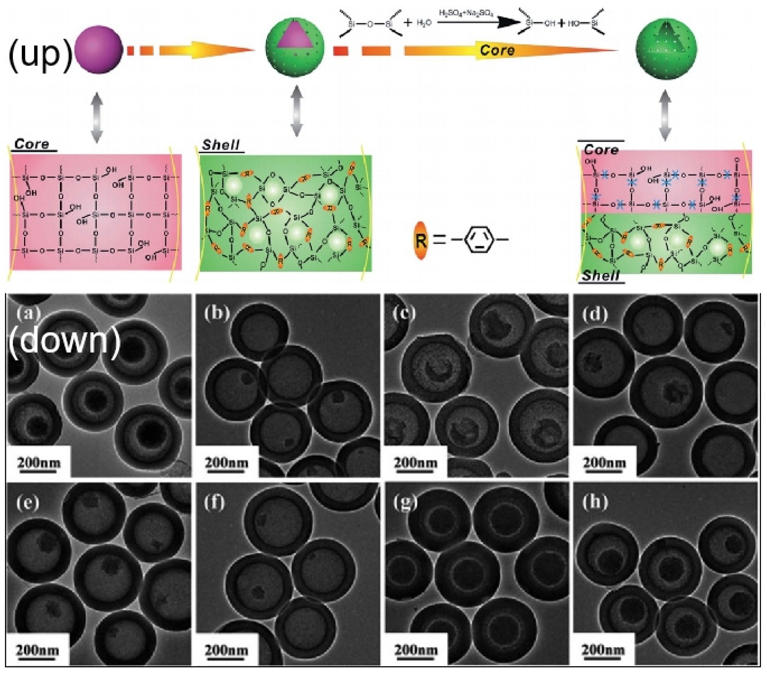Molecules 28 02013 g005