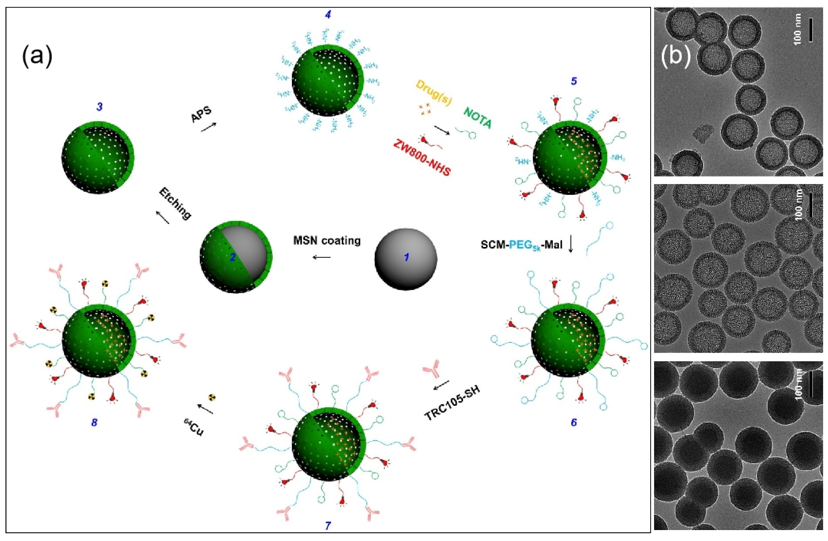Molecules 28 02013 g007