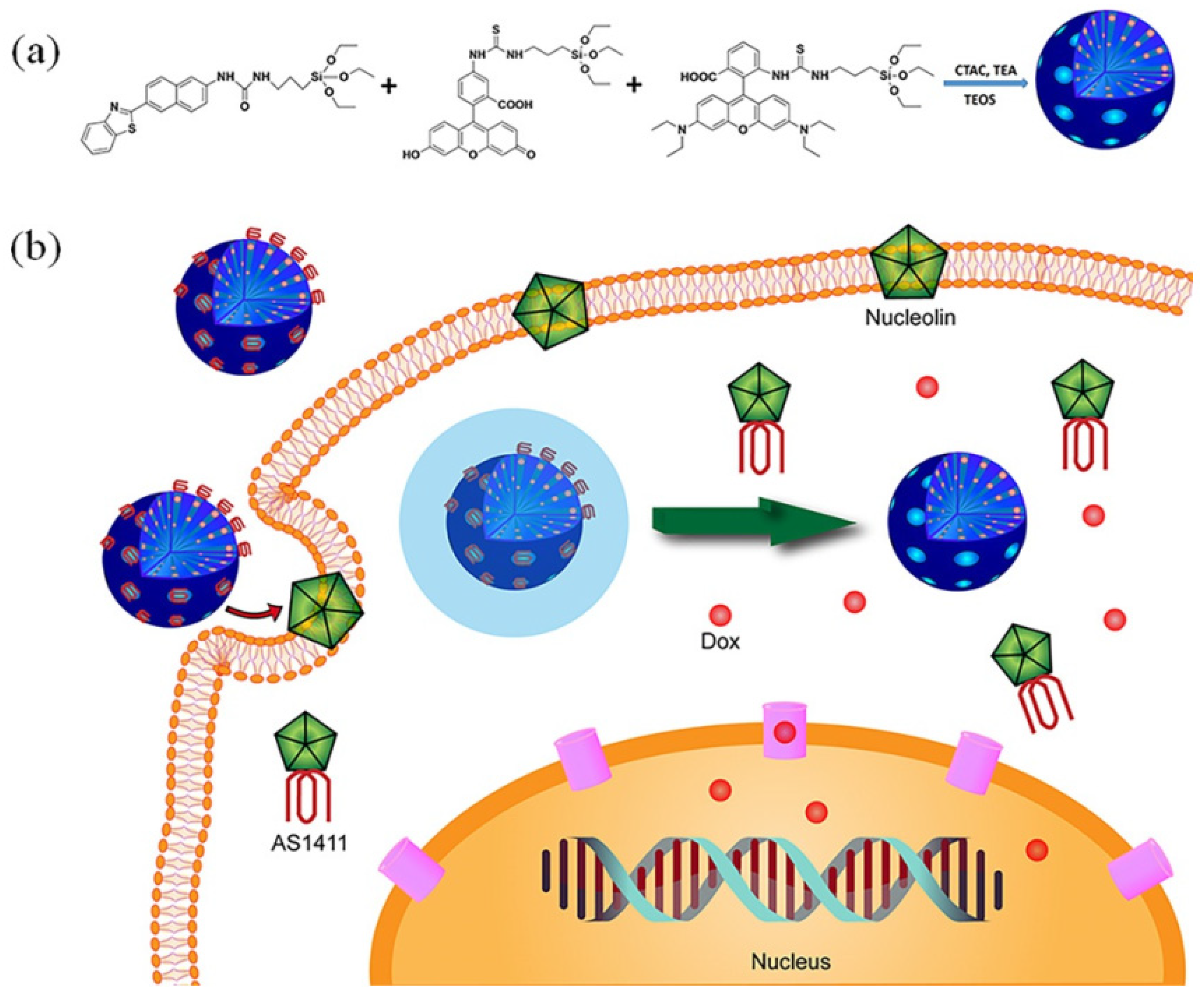 Molecules 28 02013 g008