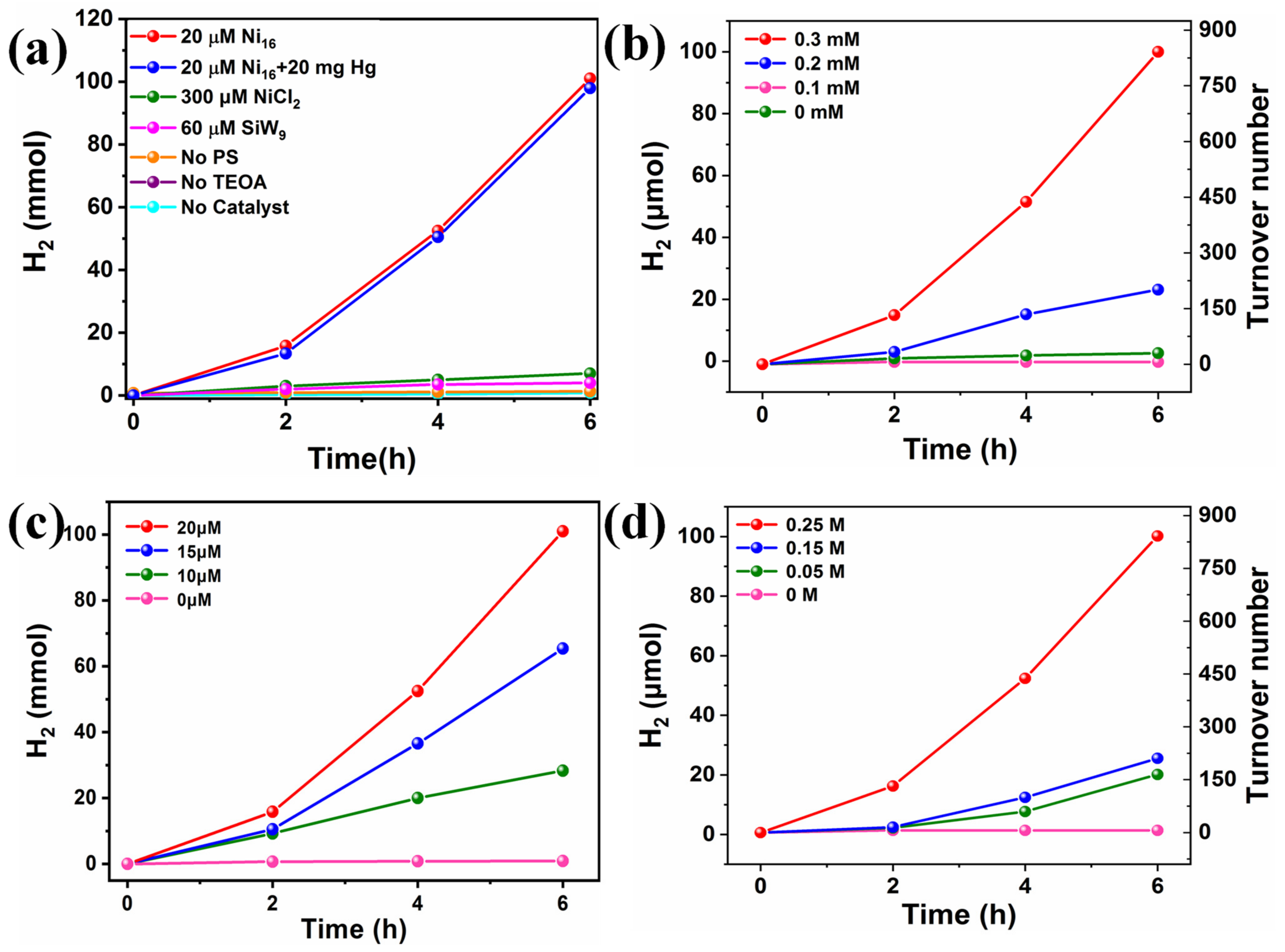 Molecules 28 02017 g003