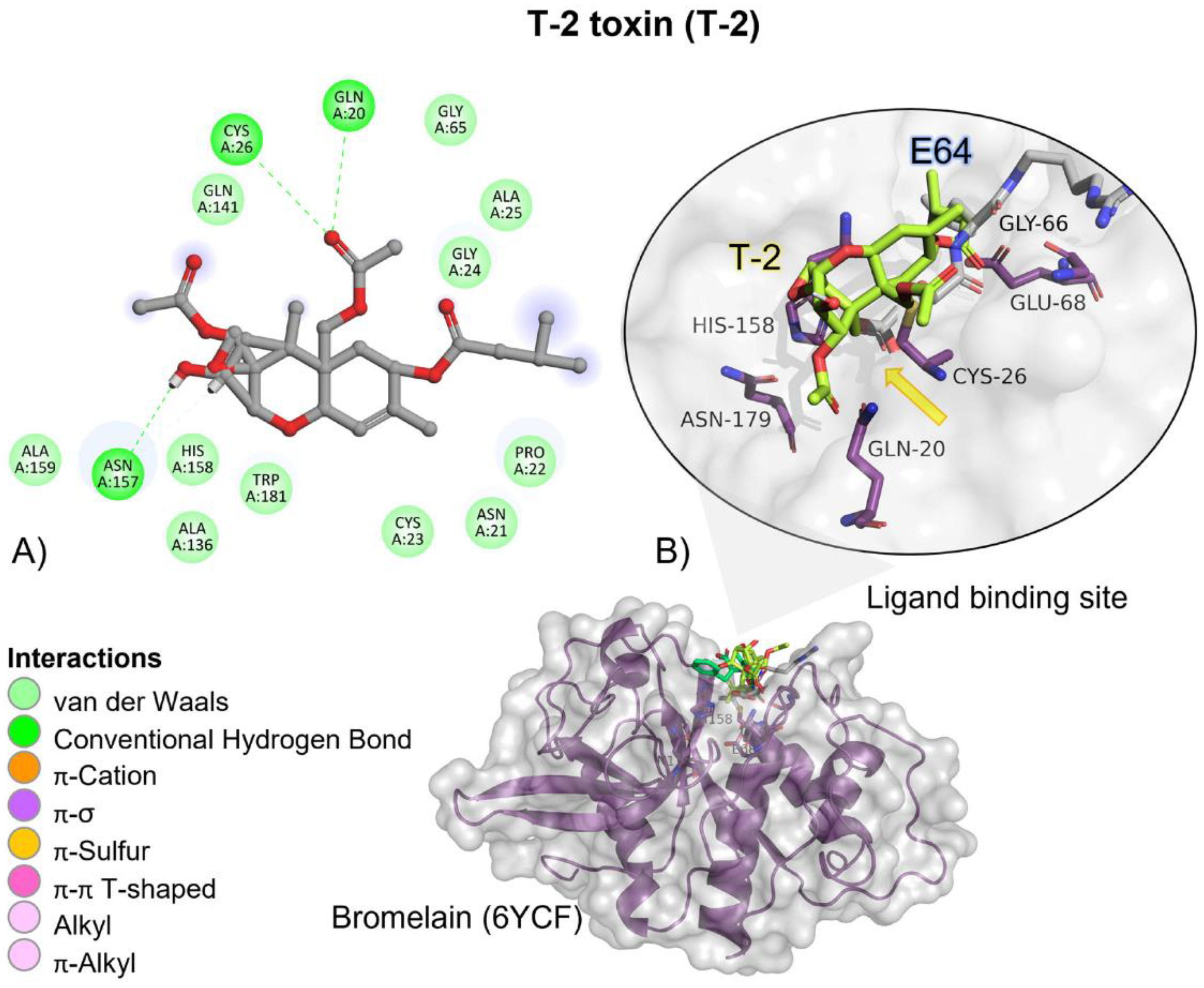Molecules 28 02019 g003