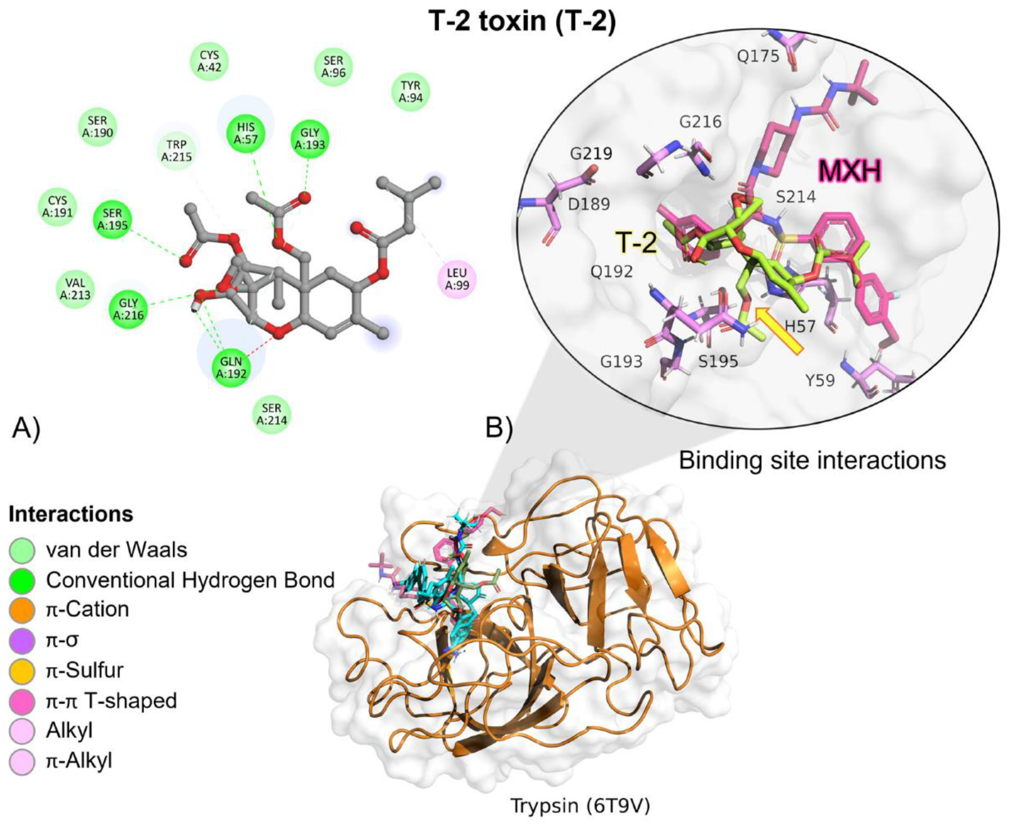 Molecules 28 02019 g009