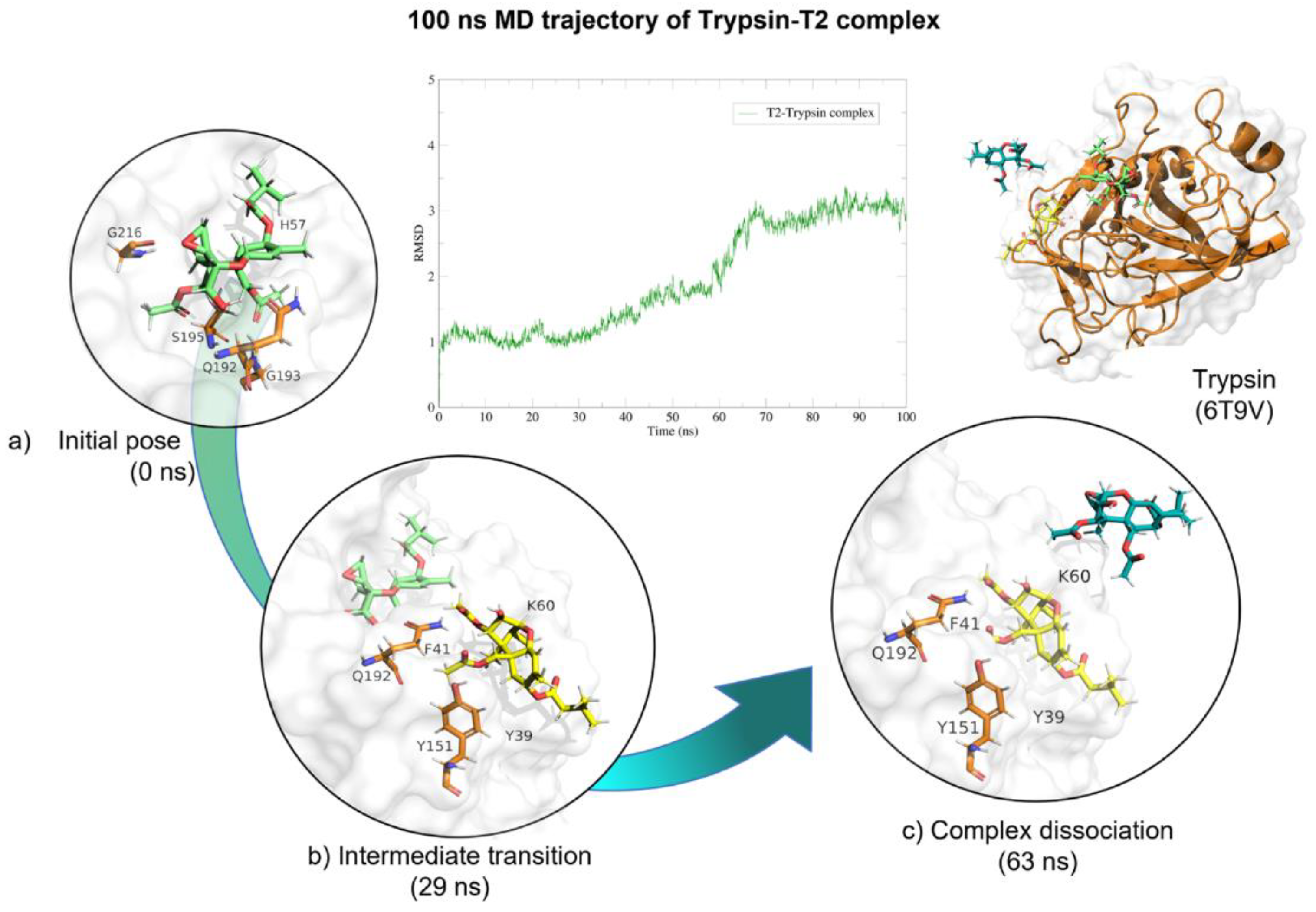 Molecules 28 02019 g011