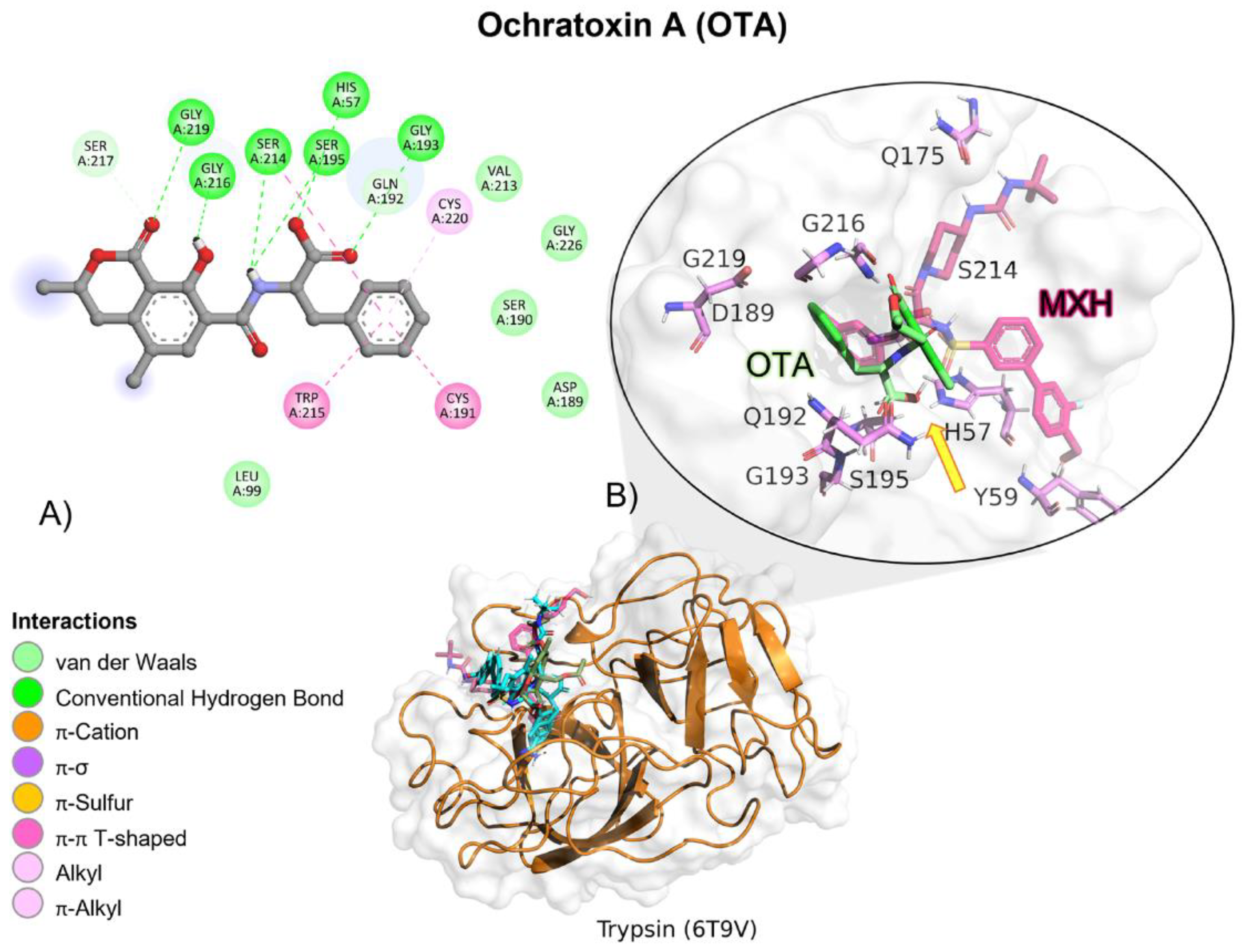 Molecules 28 02019 g014