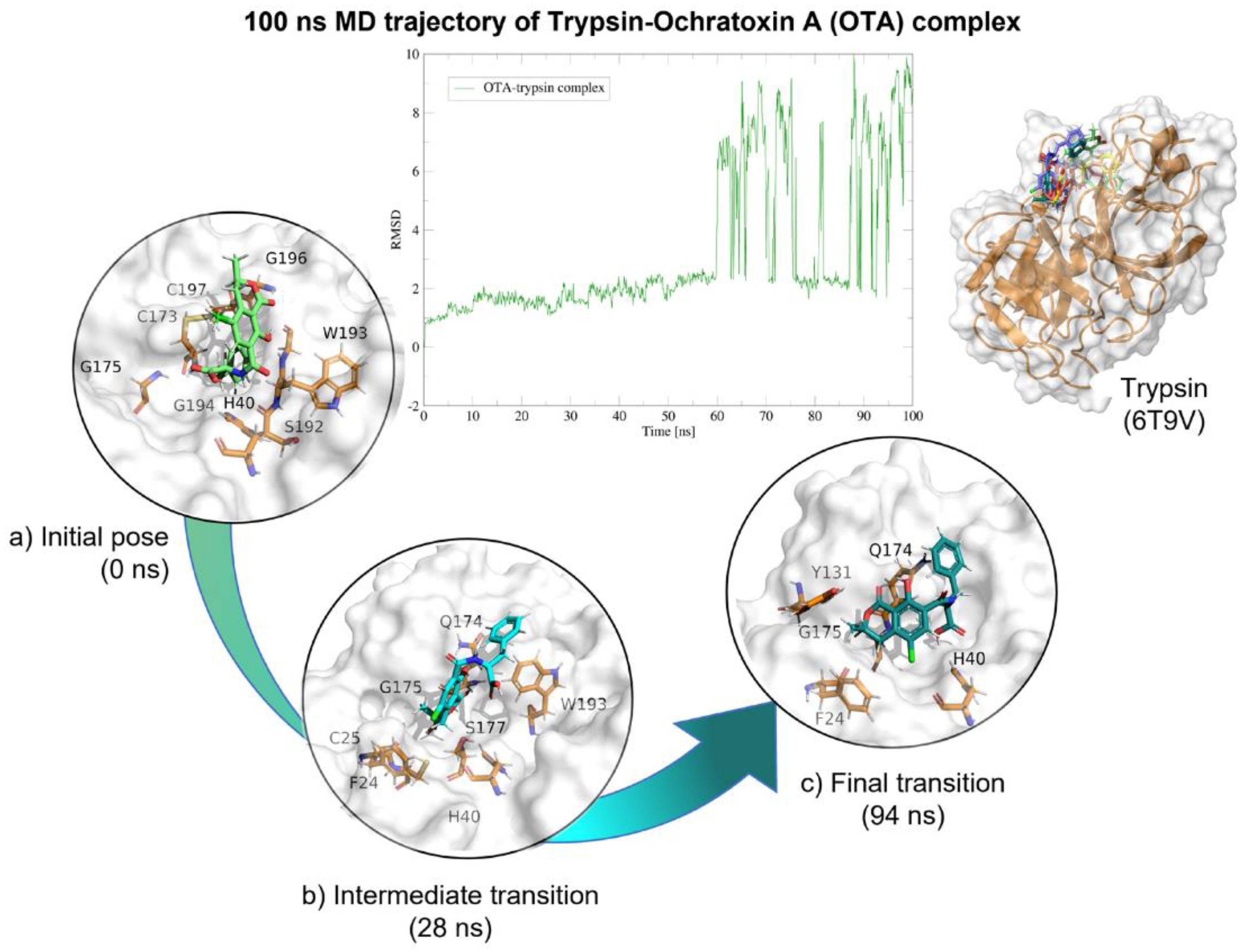Molecules 28 02019 g016