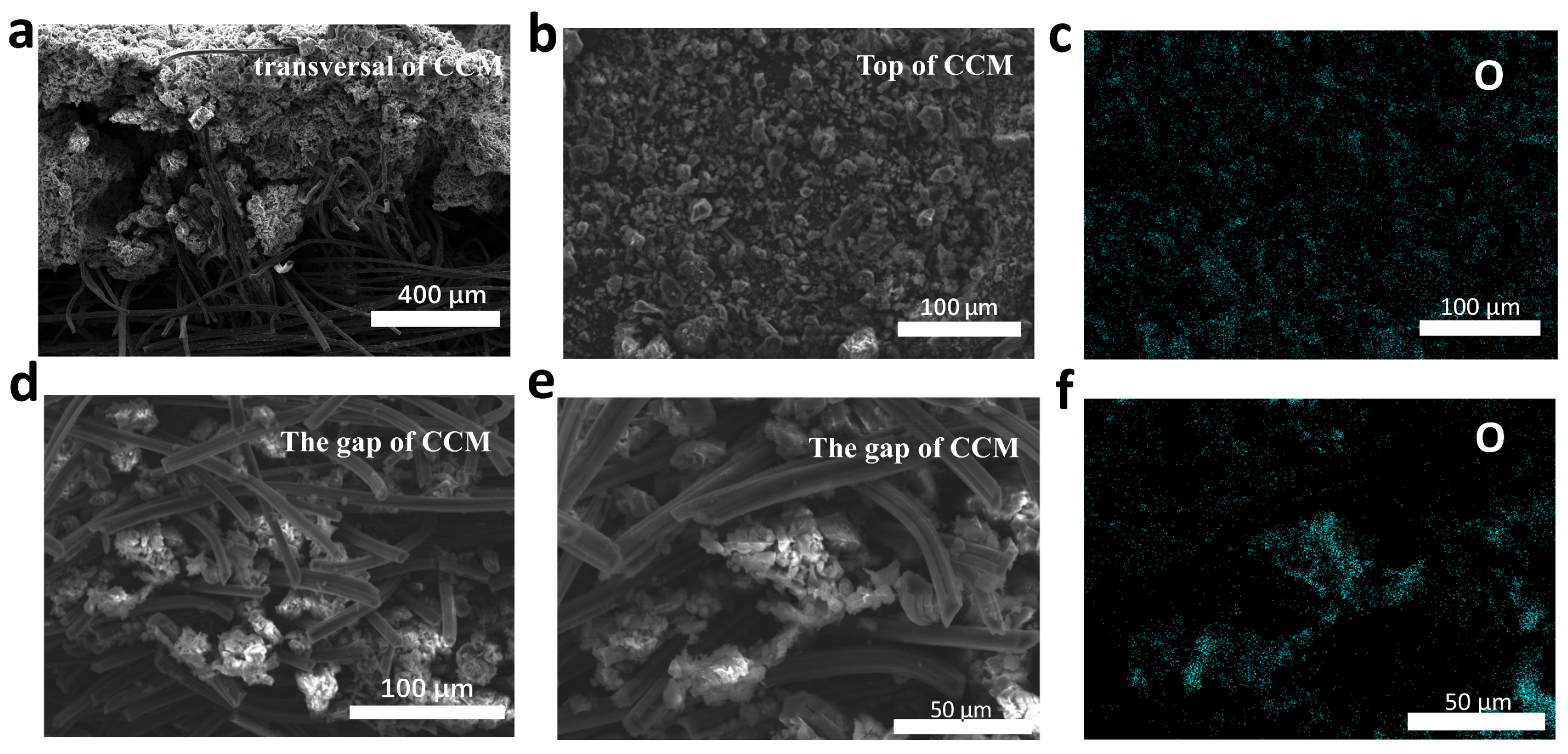 Molecules 28 02024 g005