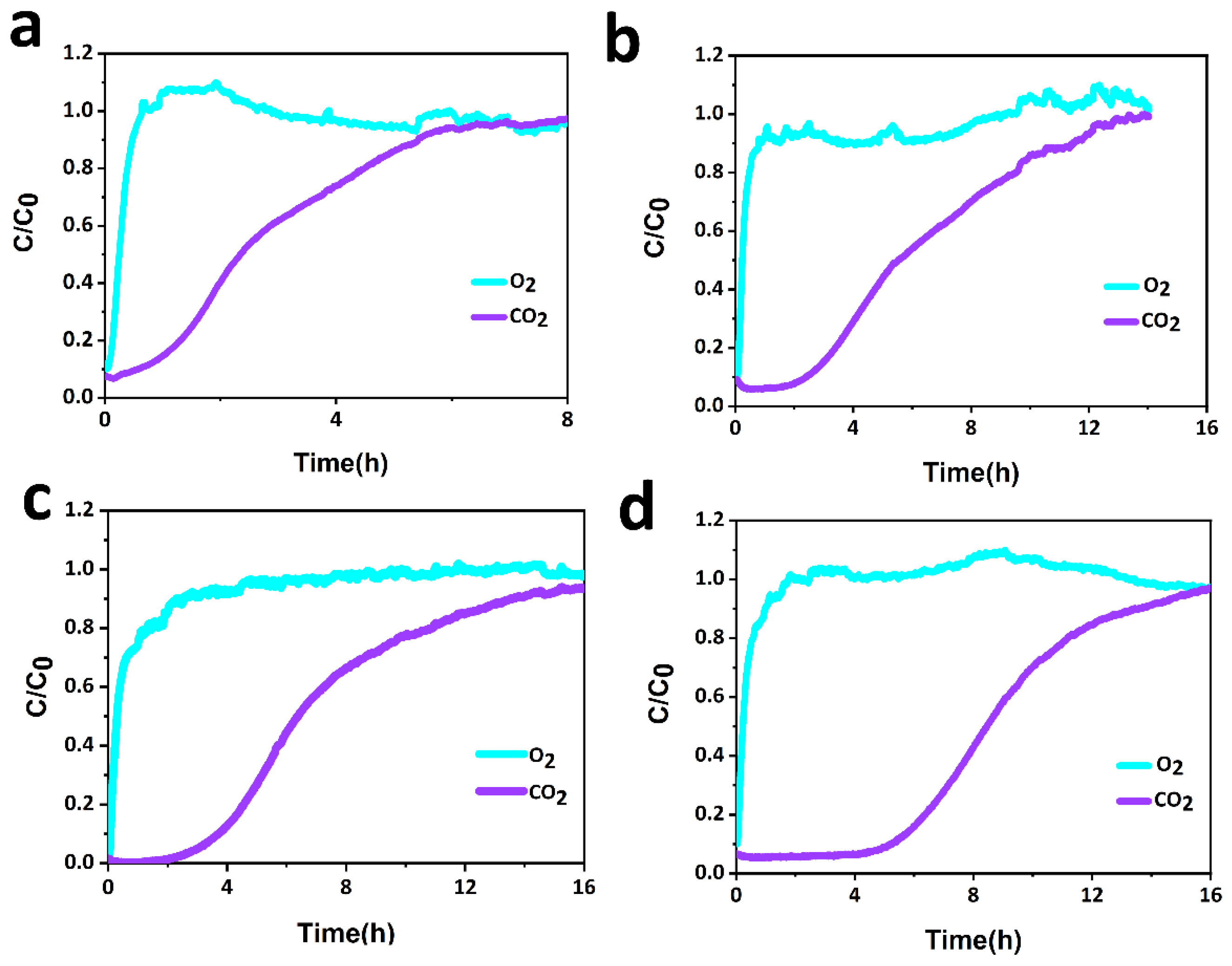 Molecules 28 02024 g006
