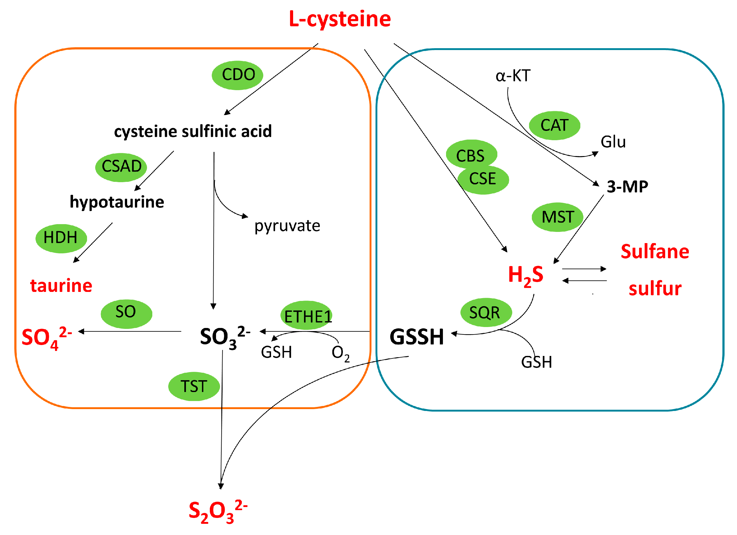 Molecules 28 02025 g001 Molecules 28 02025 g001