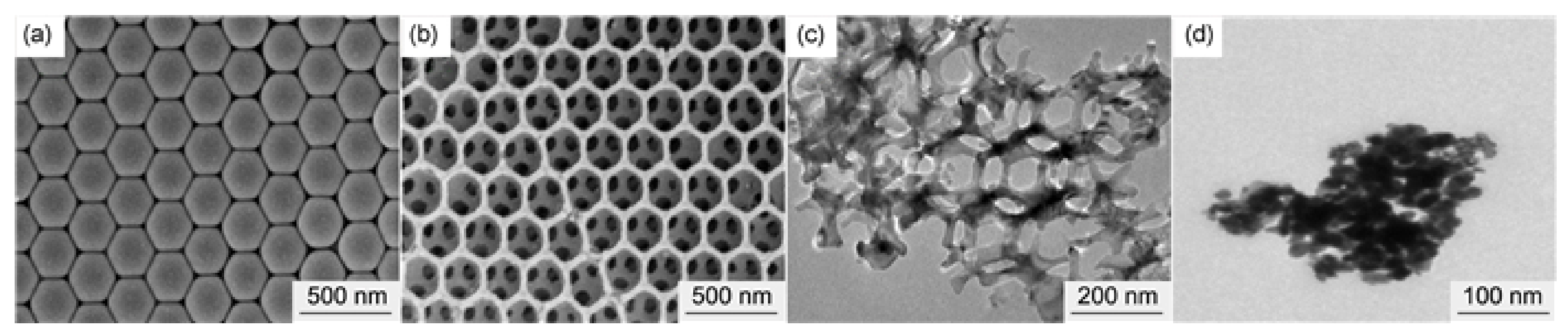 Molecules 28 02035 g012