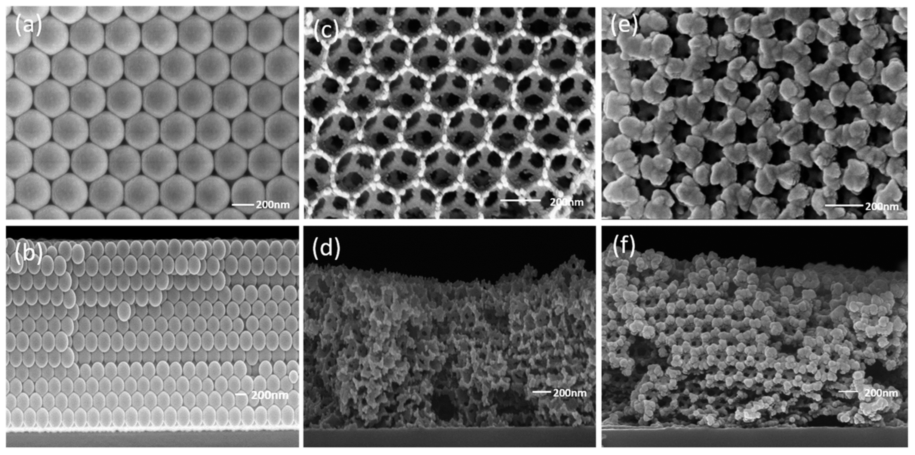 Molecules 28 02035 g031