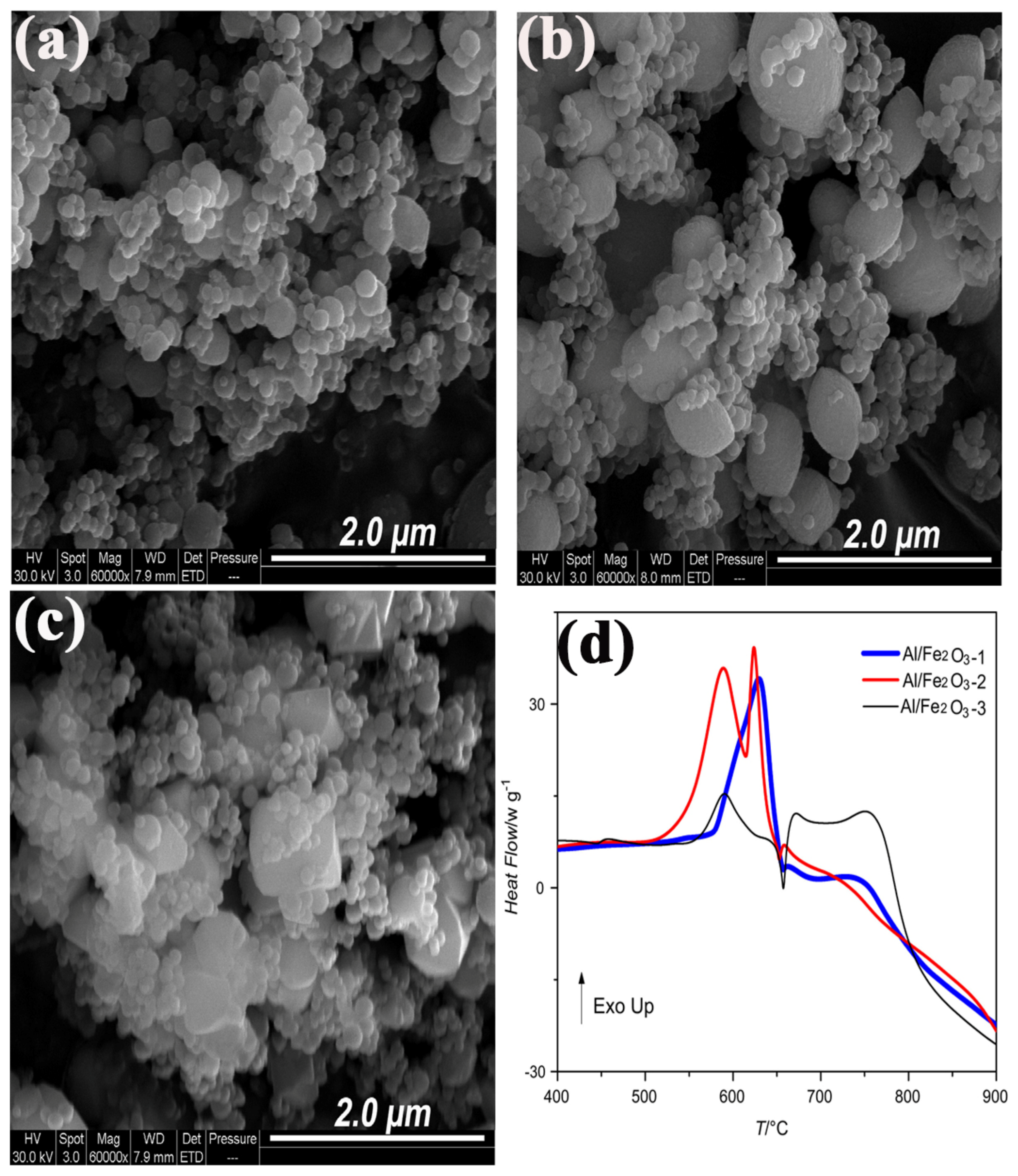 Molecules 28 02035 g032