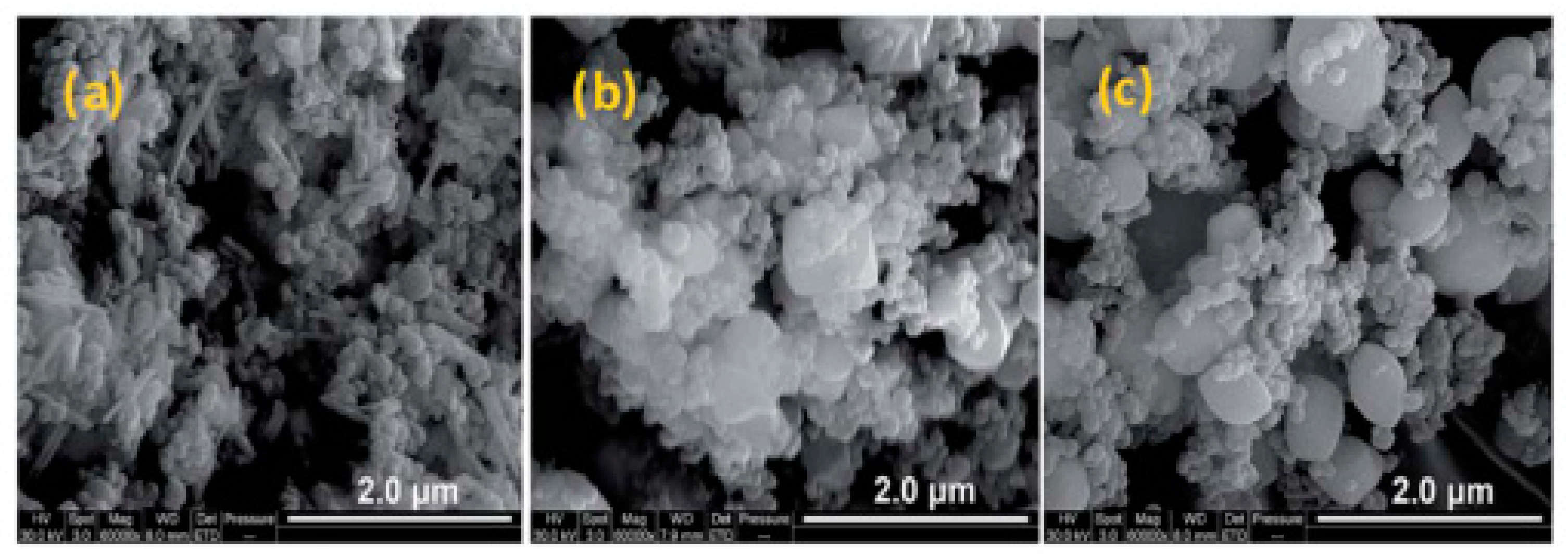 Molecules 28 02035 g036
