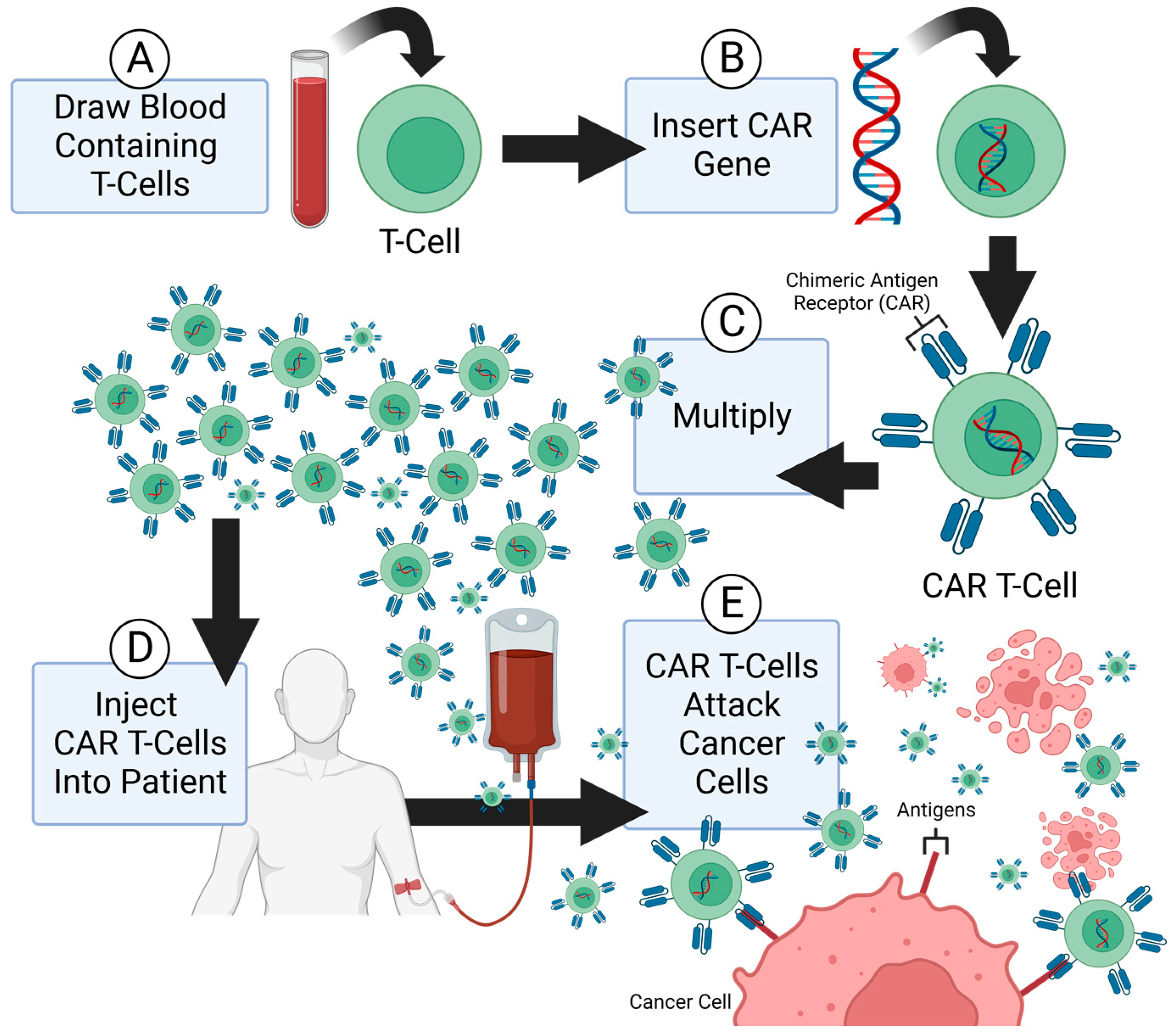 Molecules 28 02047 g002