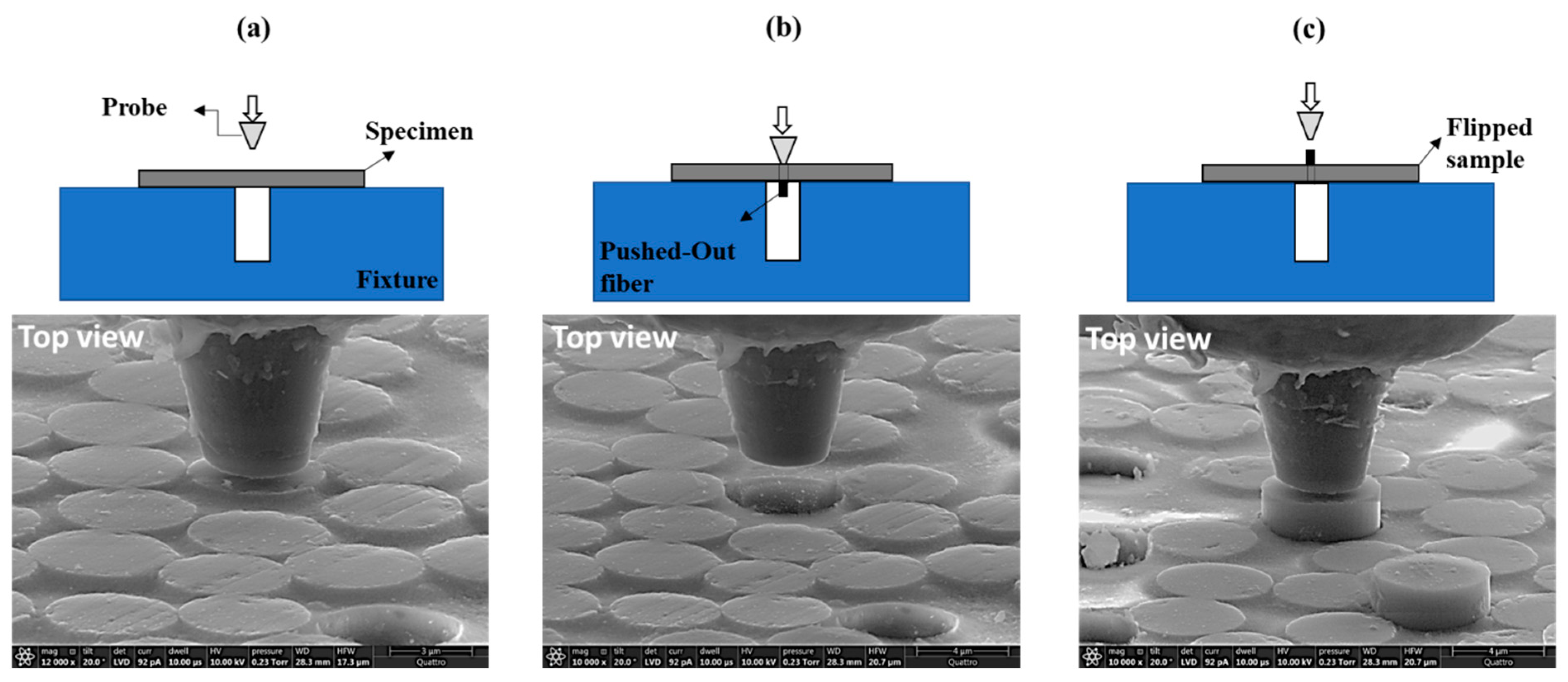 Molecules 28 02049 g003