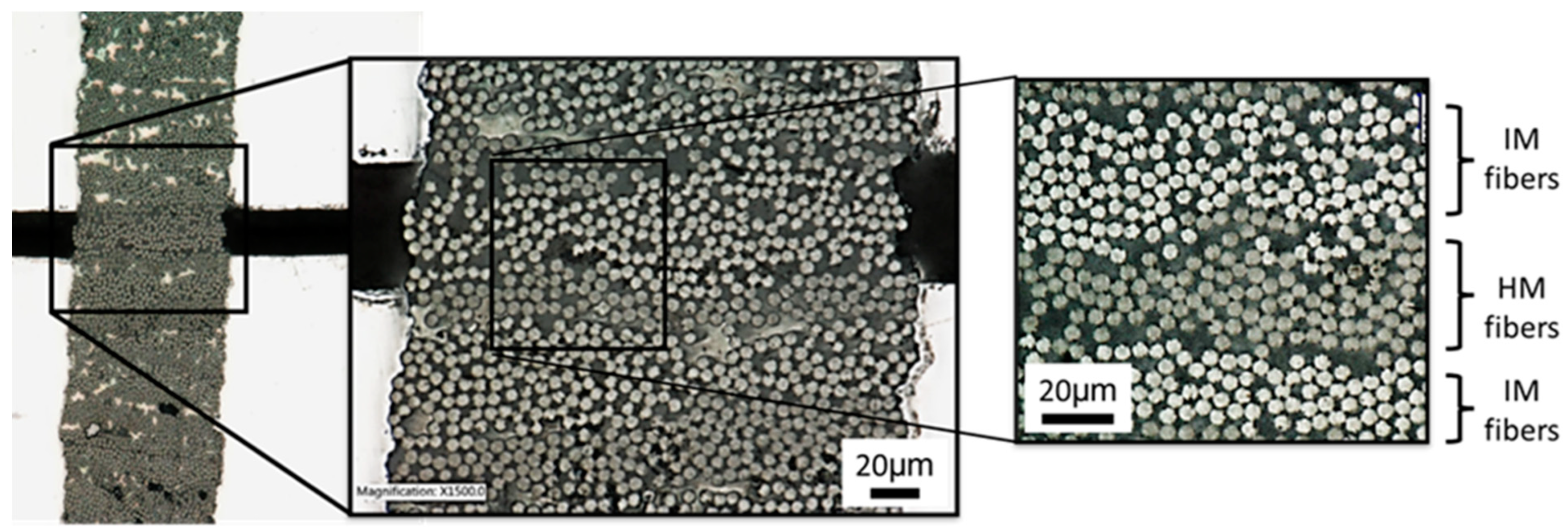 Molecules 28 02049 g004