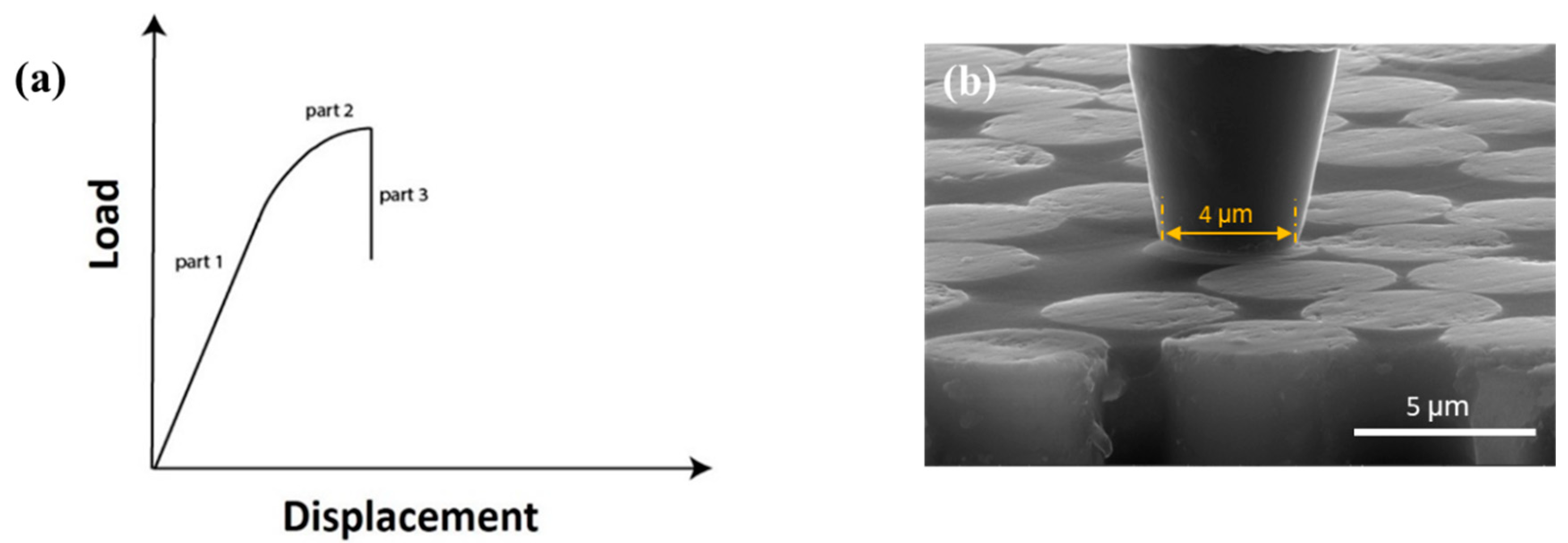 Molecules 28 02049 g005