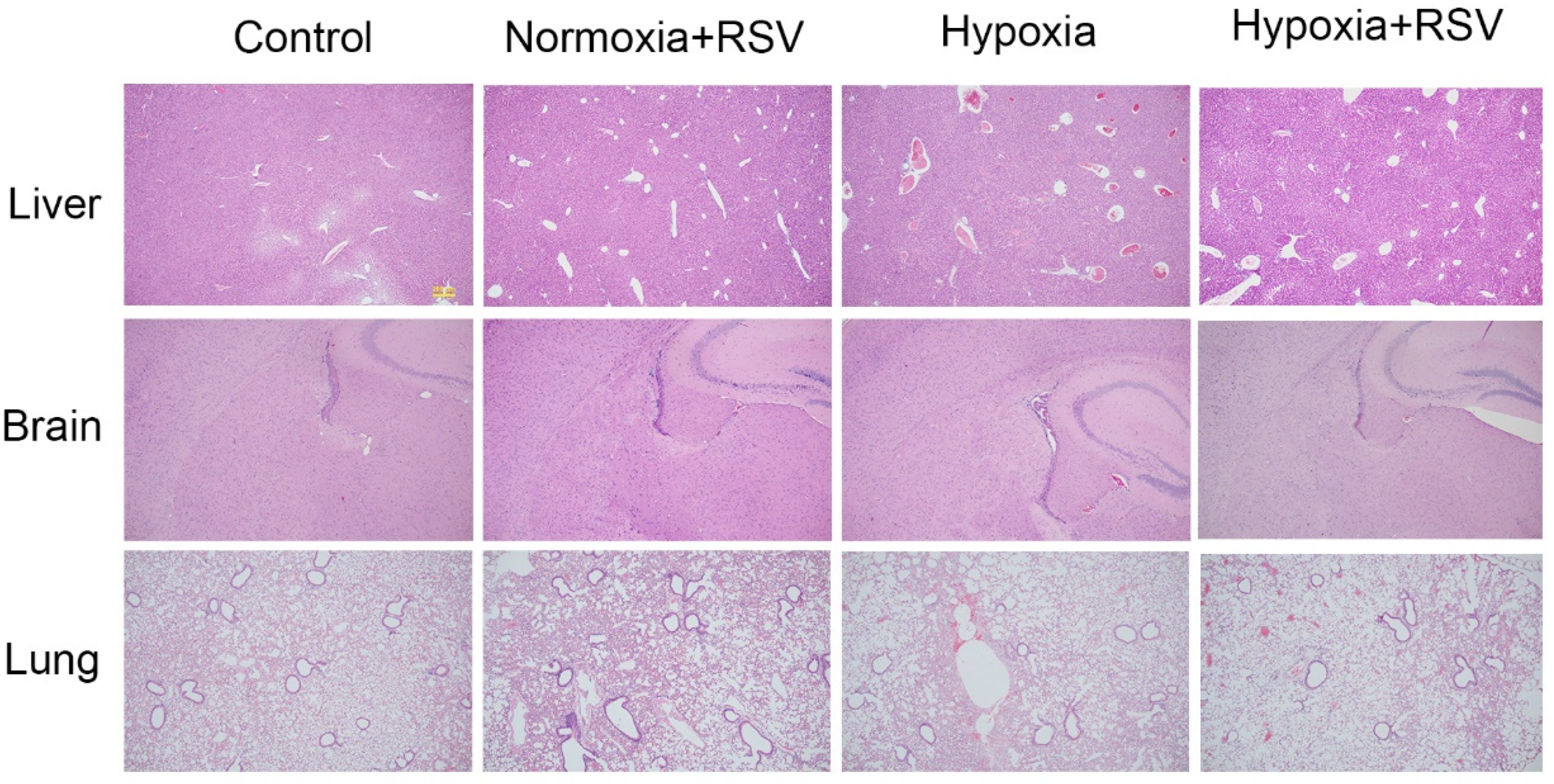 Molecules 28 02050 g006 Molecules 28 02050 g006