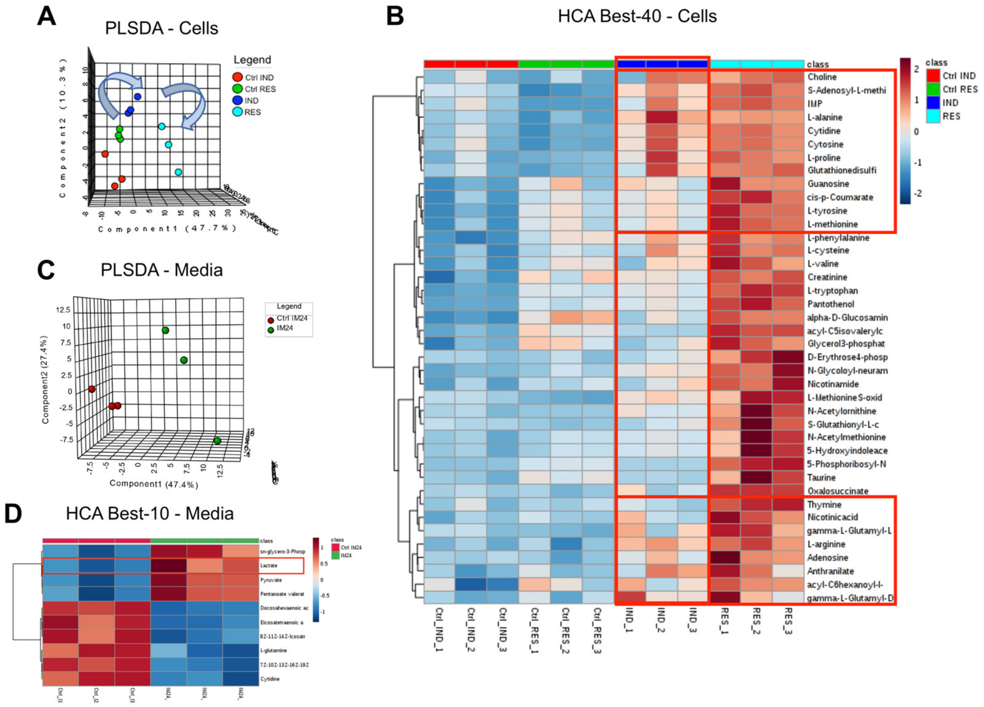 Molecules 28 02051 g002