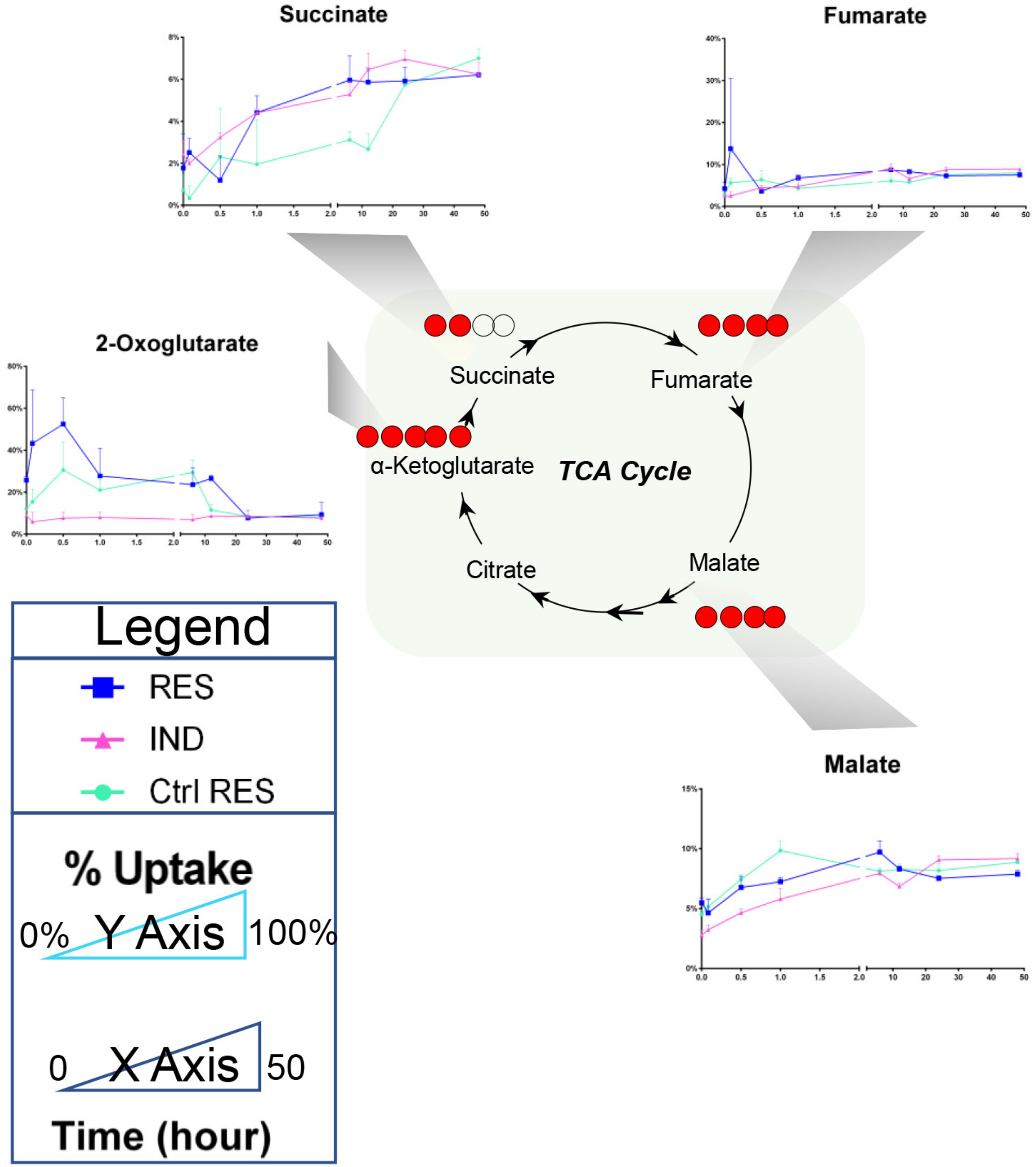 Molecules 28 02051 g006