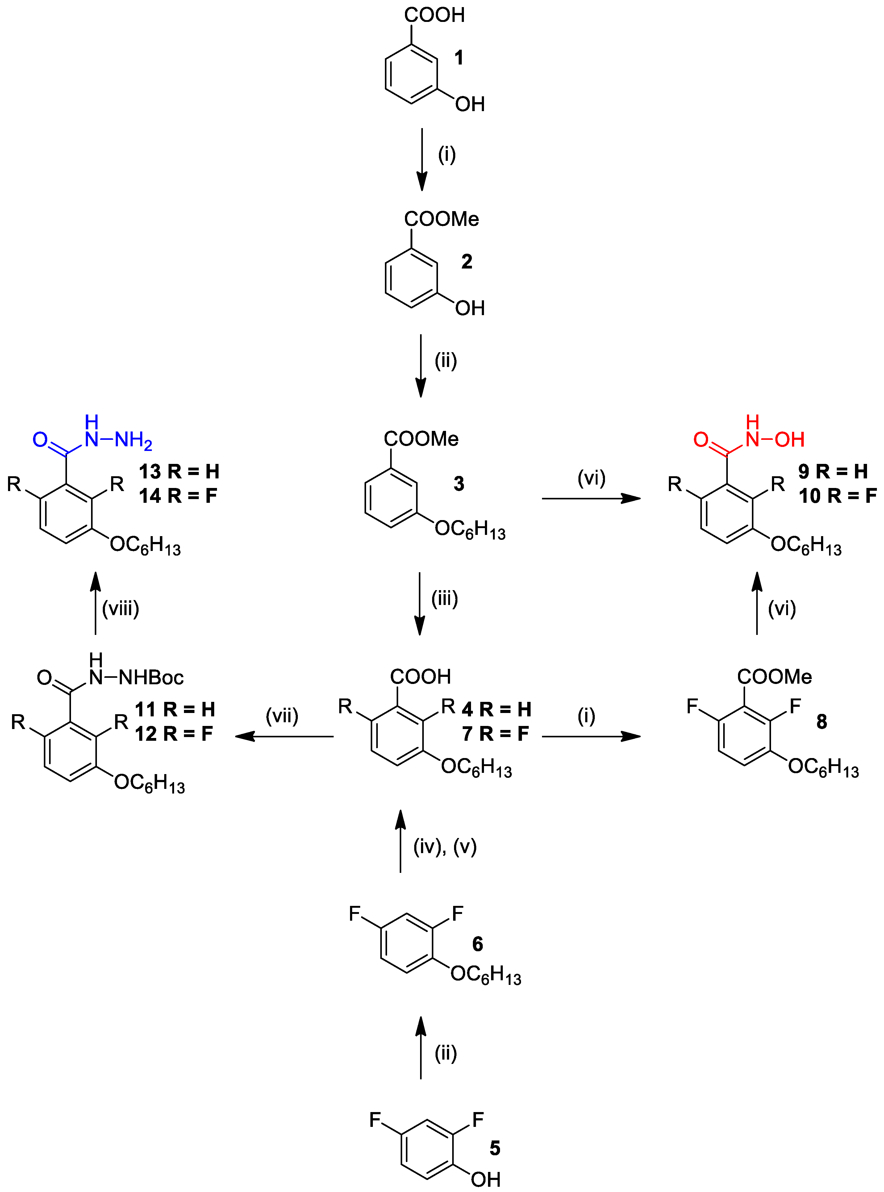 Molecules 28 02055 sch001 Molecules 28 02055 sch001