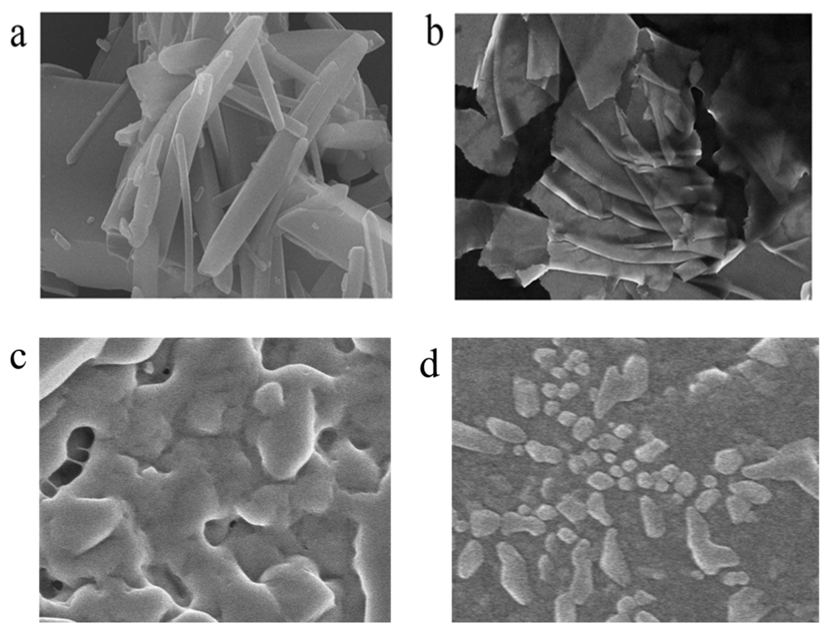 Molecules 28 02059 g002