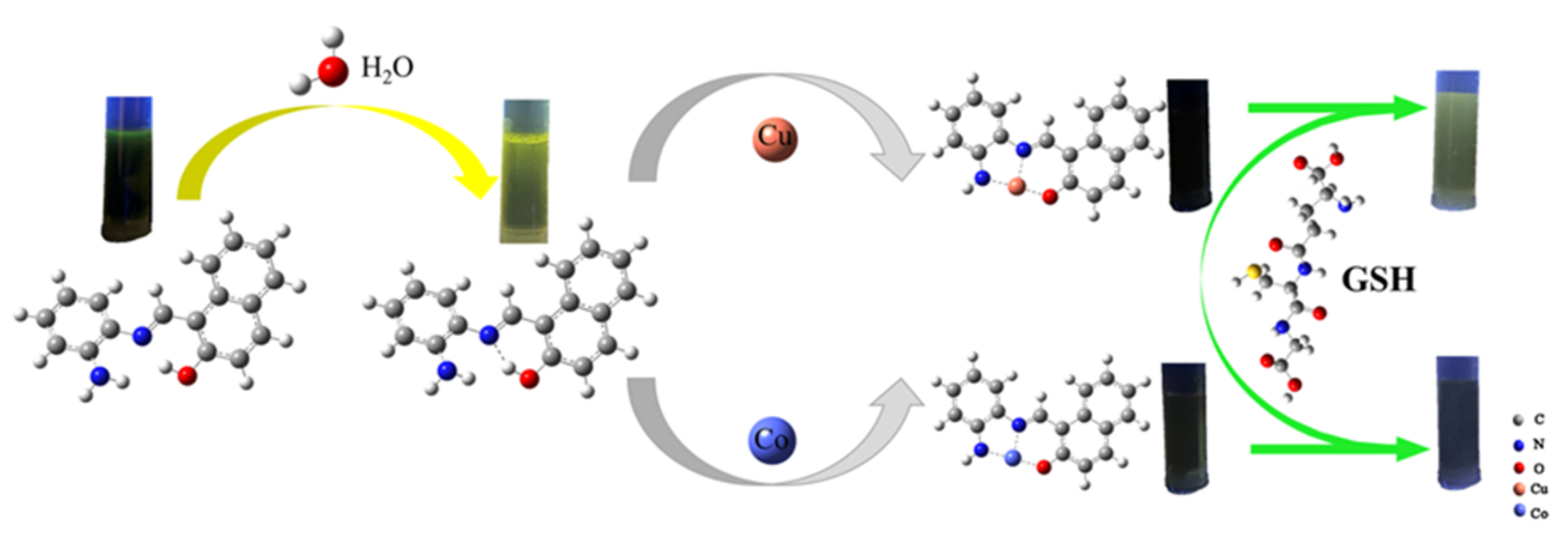 Molecules 28 02059 g011