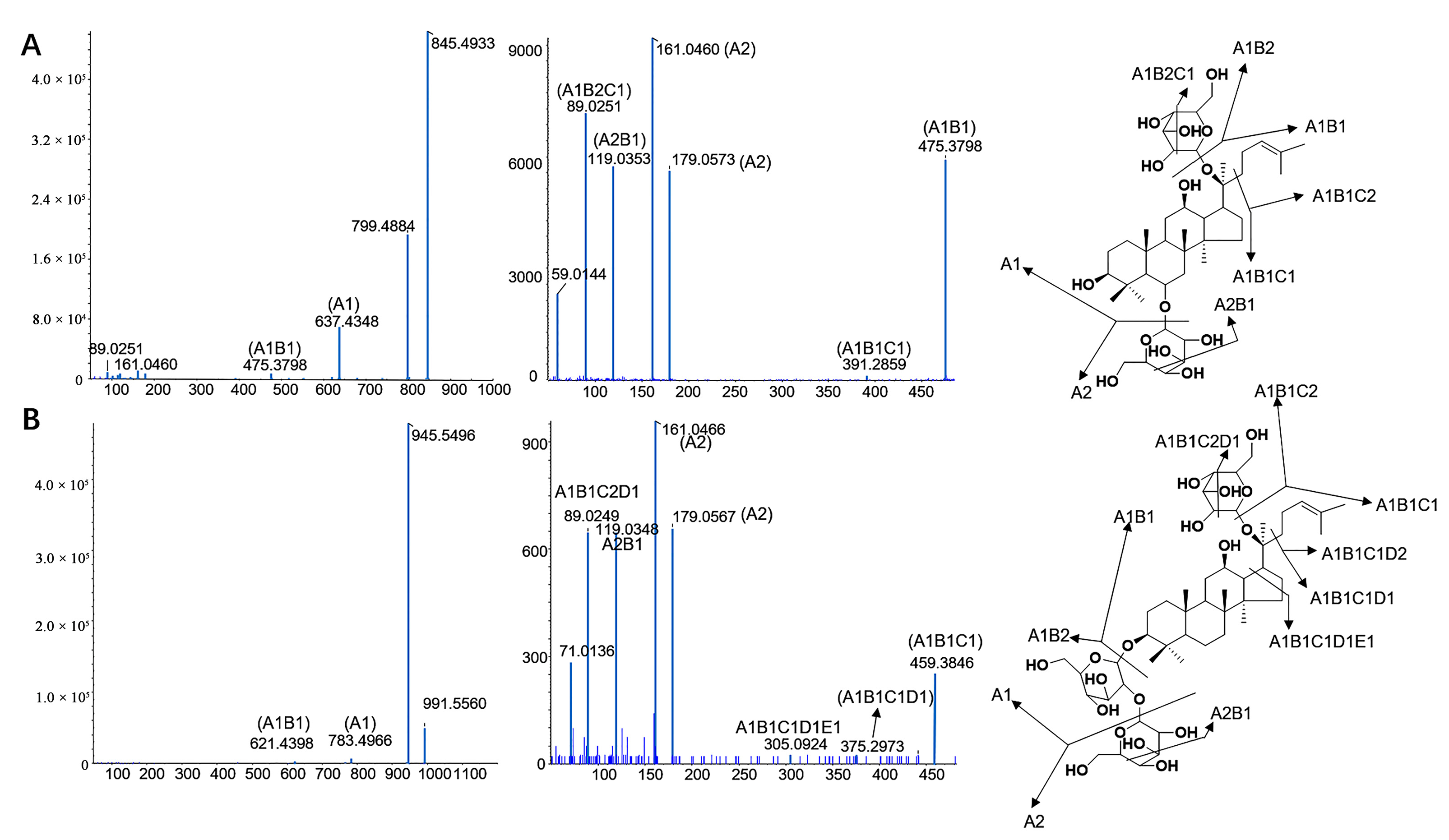 Molecules 28 02068 g003