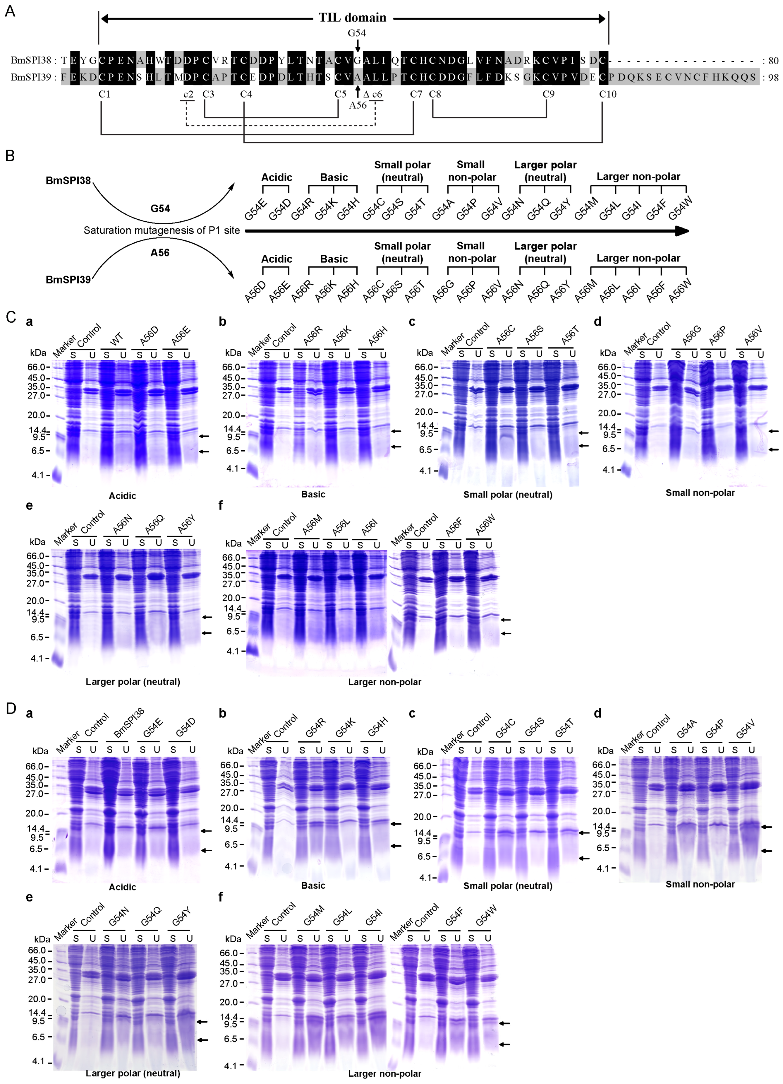 Molecules 28 02073 g002