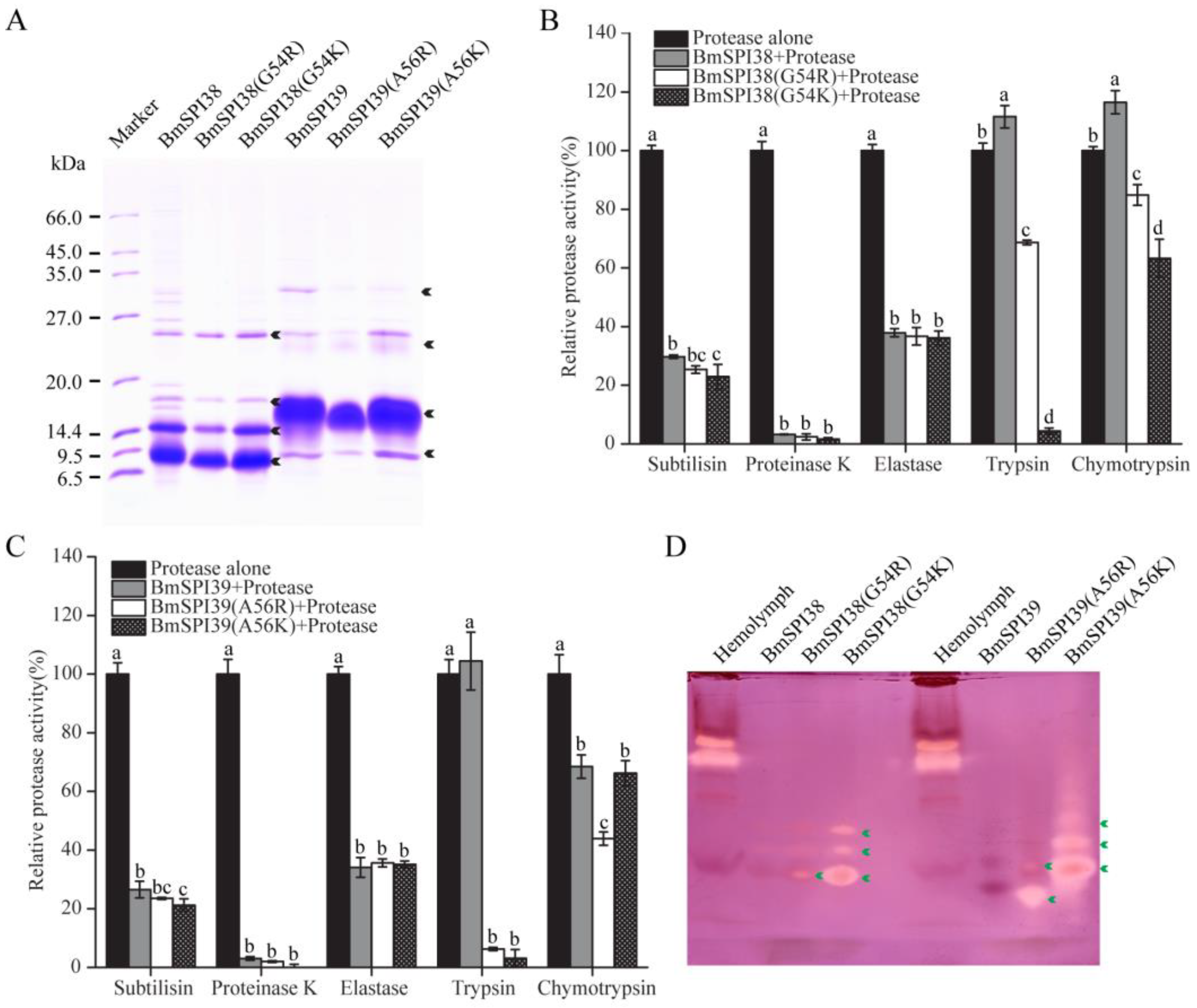 Molecules 28 02073 g005