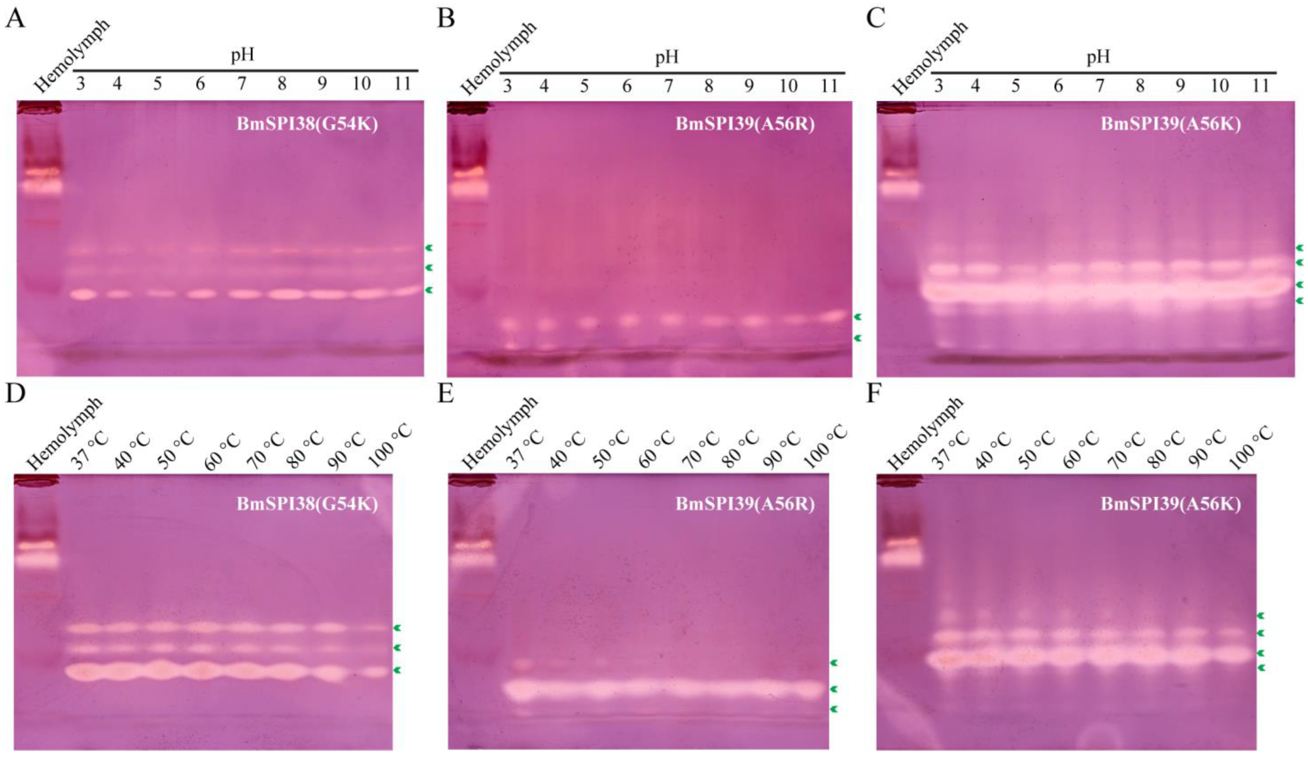Molecules 28 02073 g008