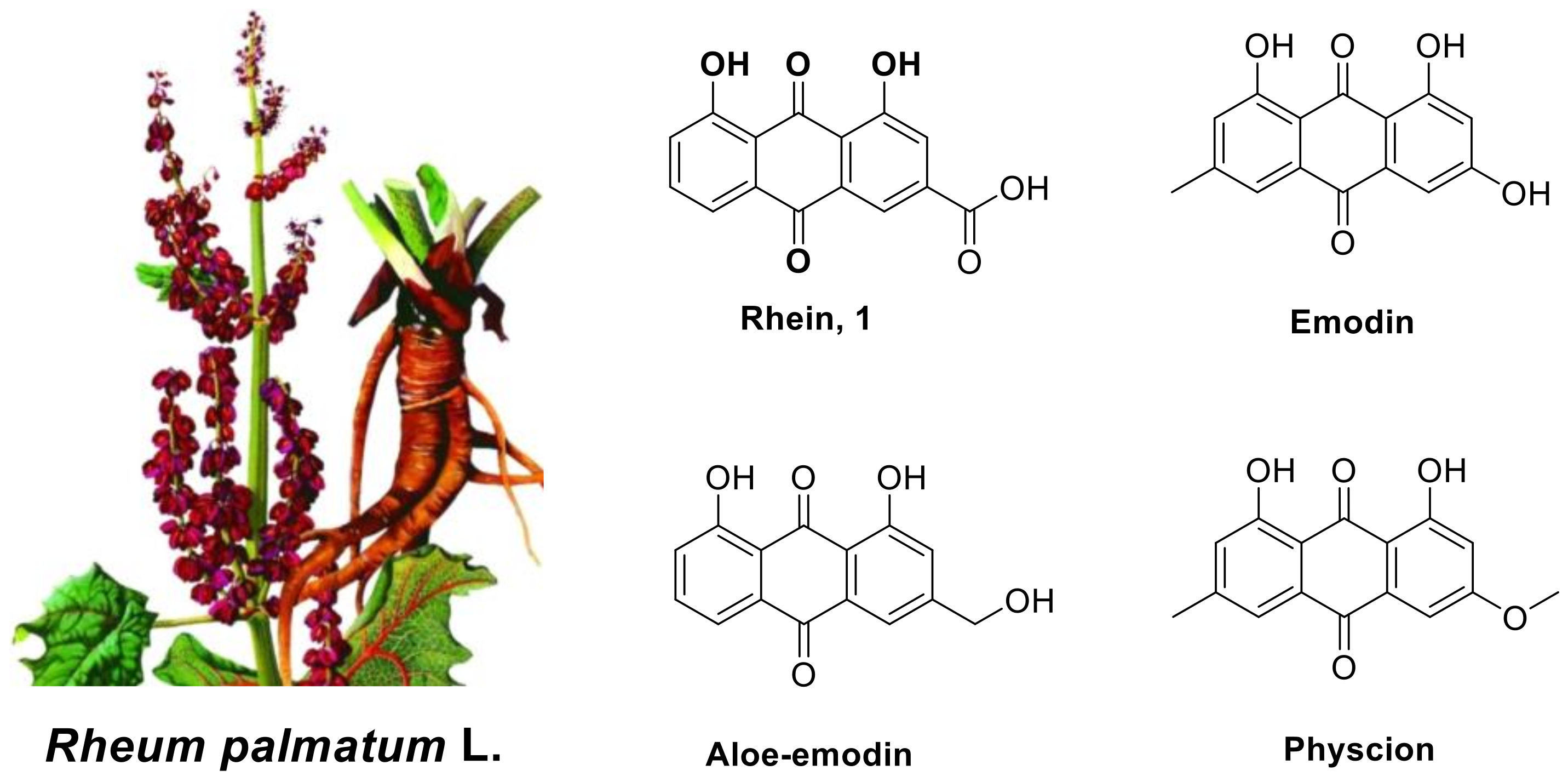 Molecules 28 02074 g001 Molecules 28 02074 g001