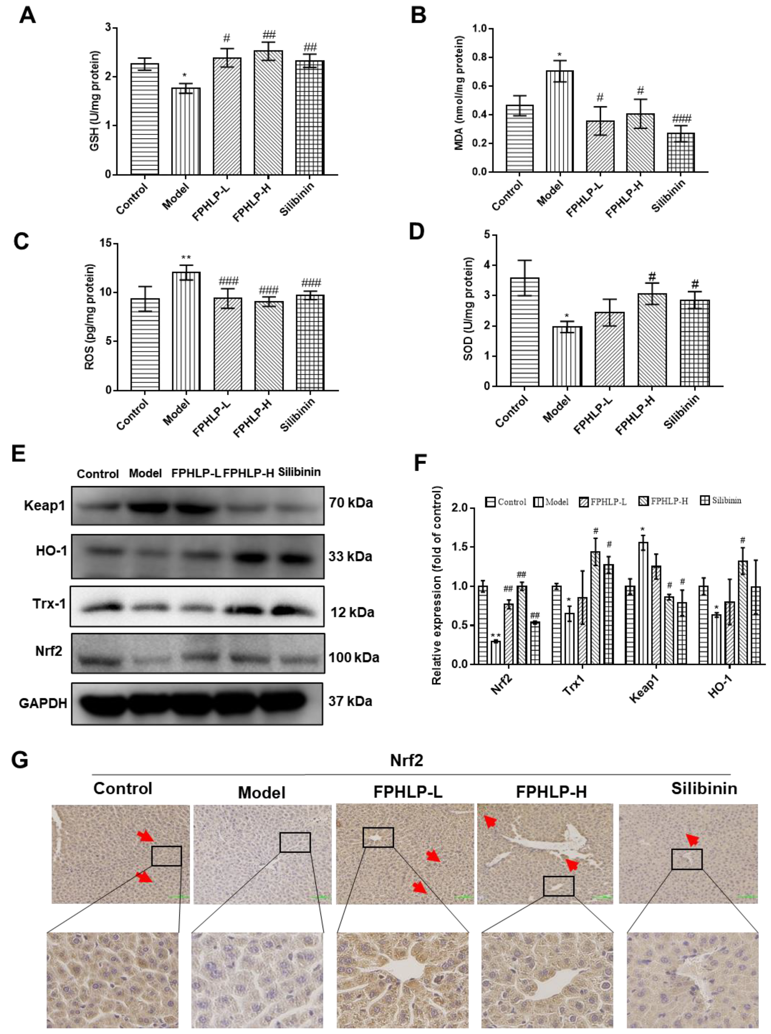 Molecules 28 02078 g004