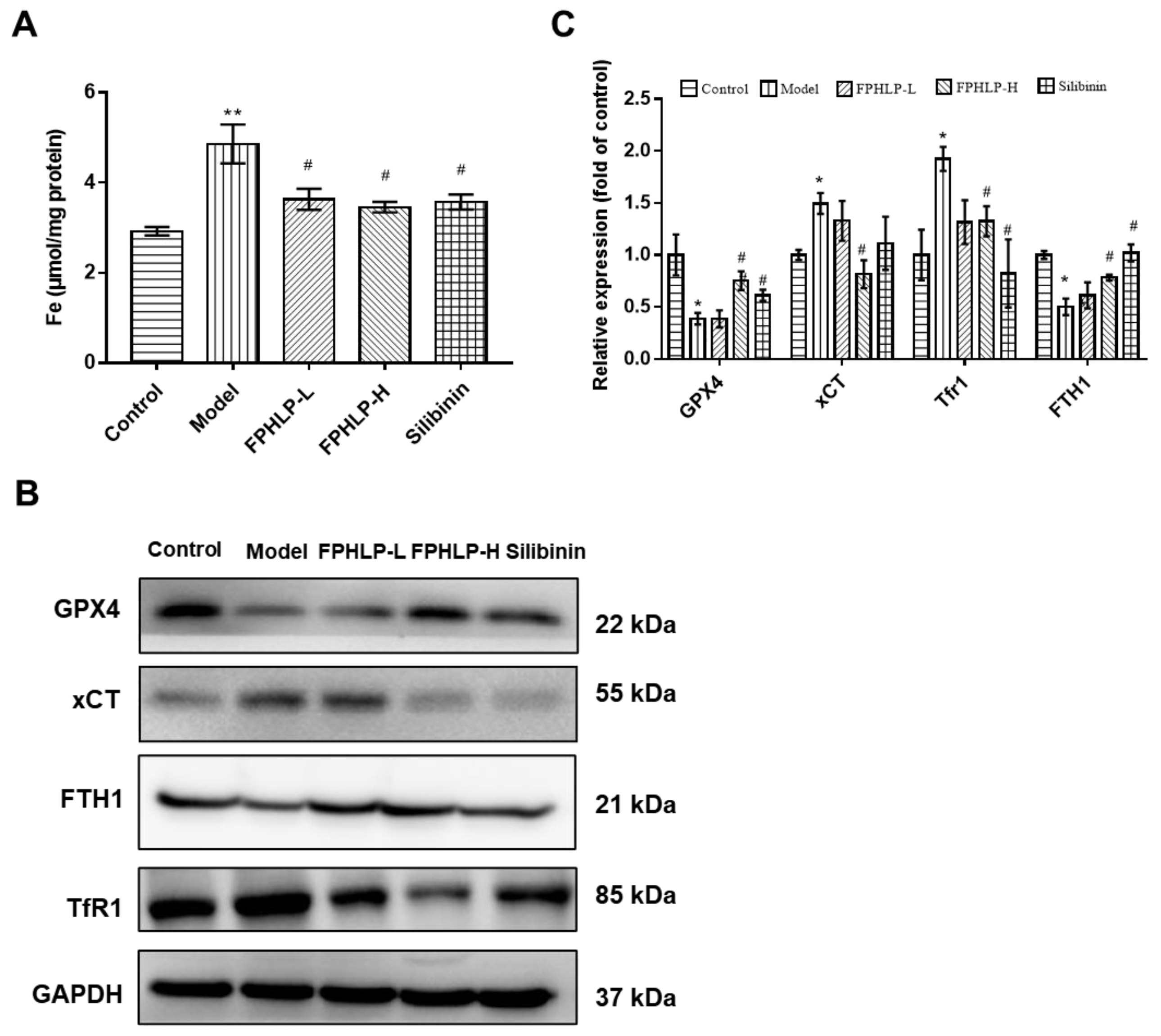 Molecules 28 02078 g005