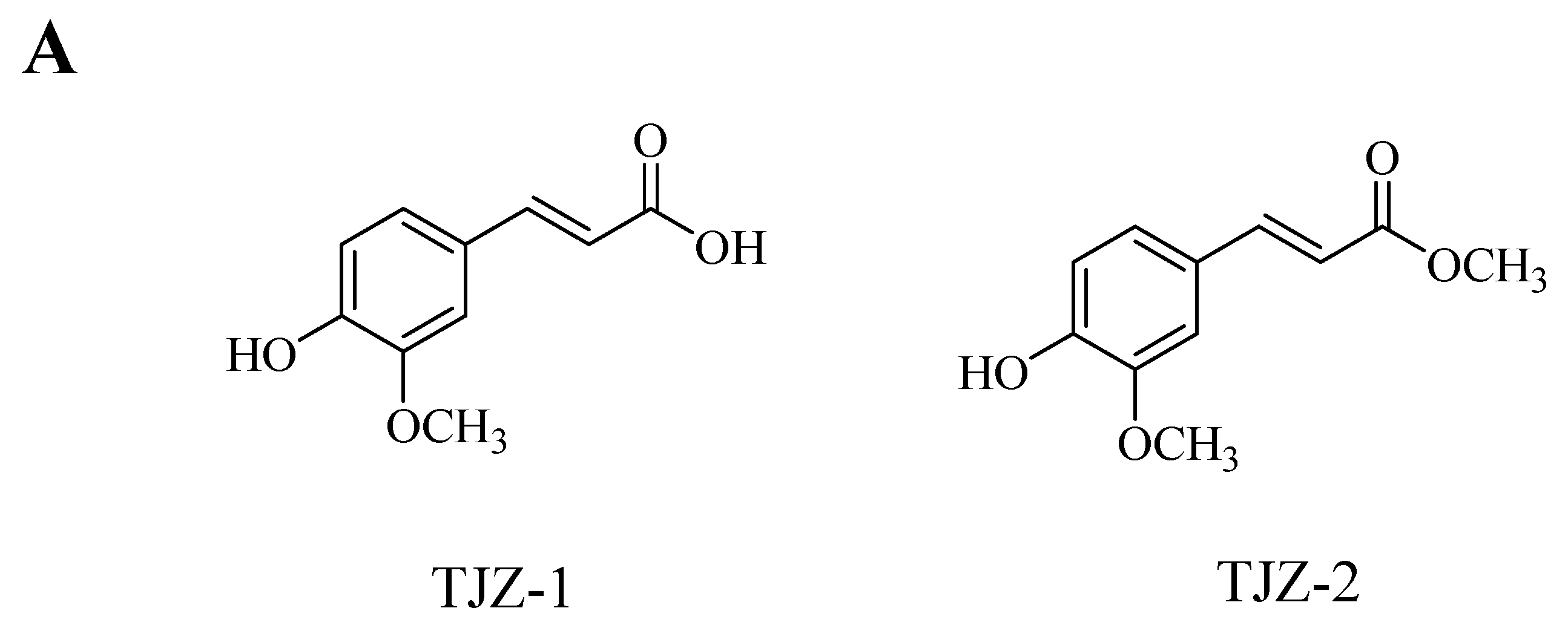 Molecules 28 02080 g001a Molecules 28 02080 g001a