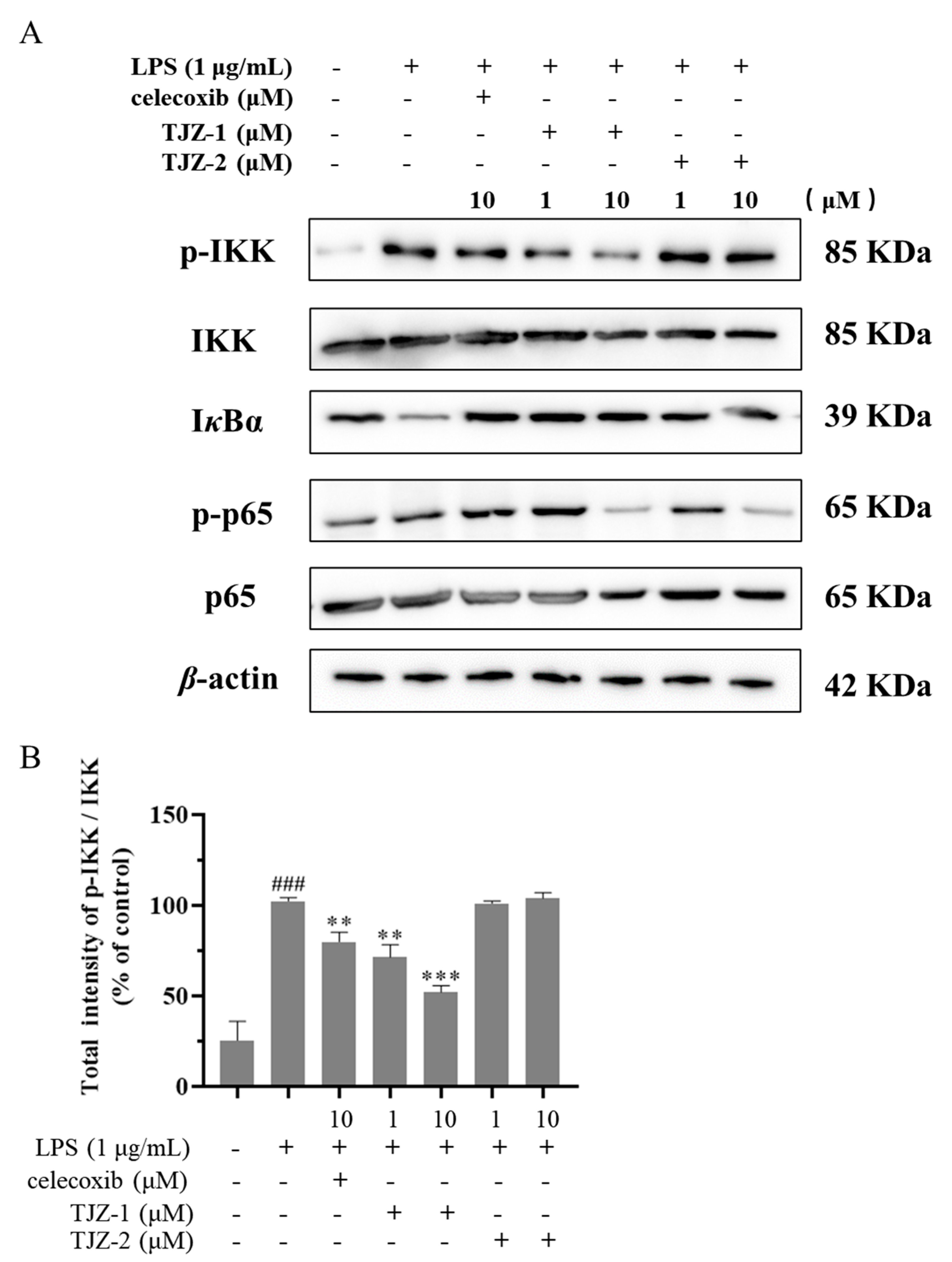 Molecules 28 02080 g004a Molecules 28 02080 g004a