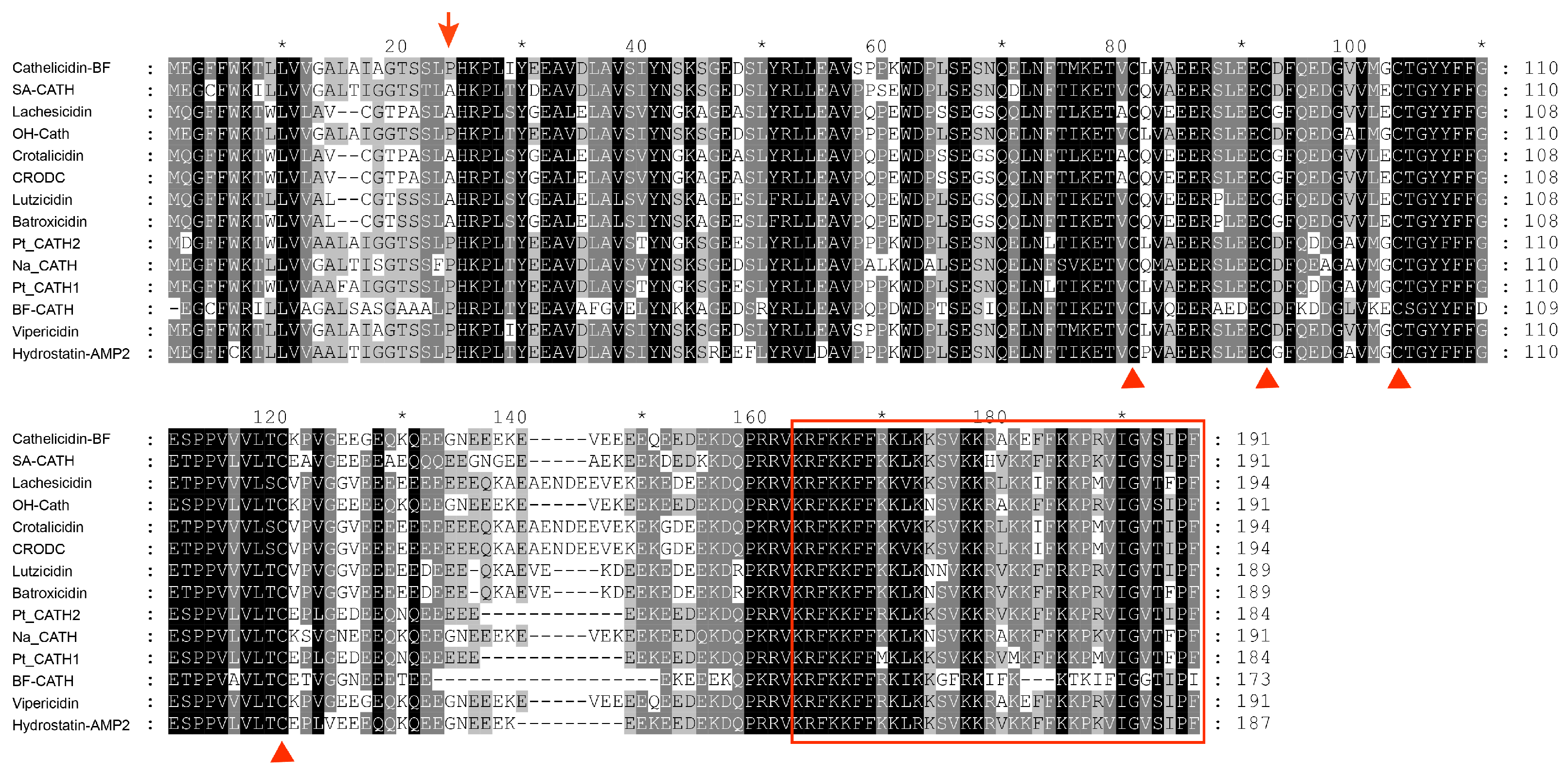Molecules 28 02082 g002