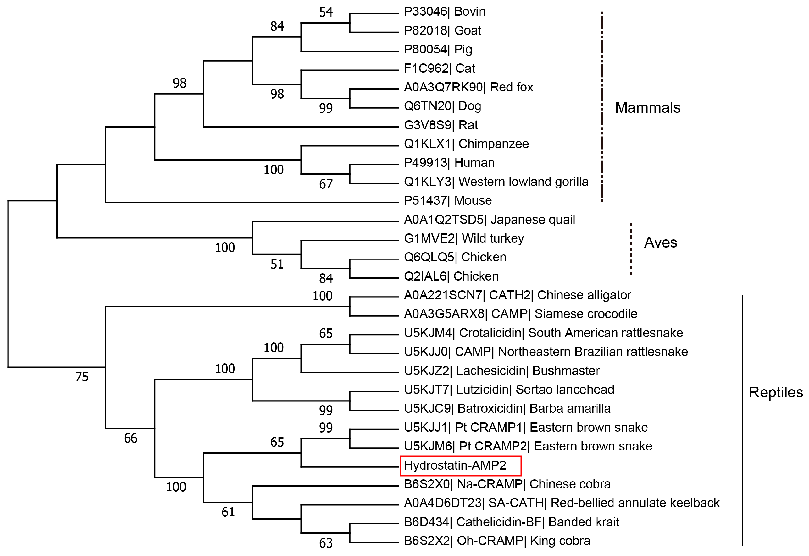 Molecules 28 02082 g003