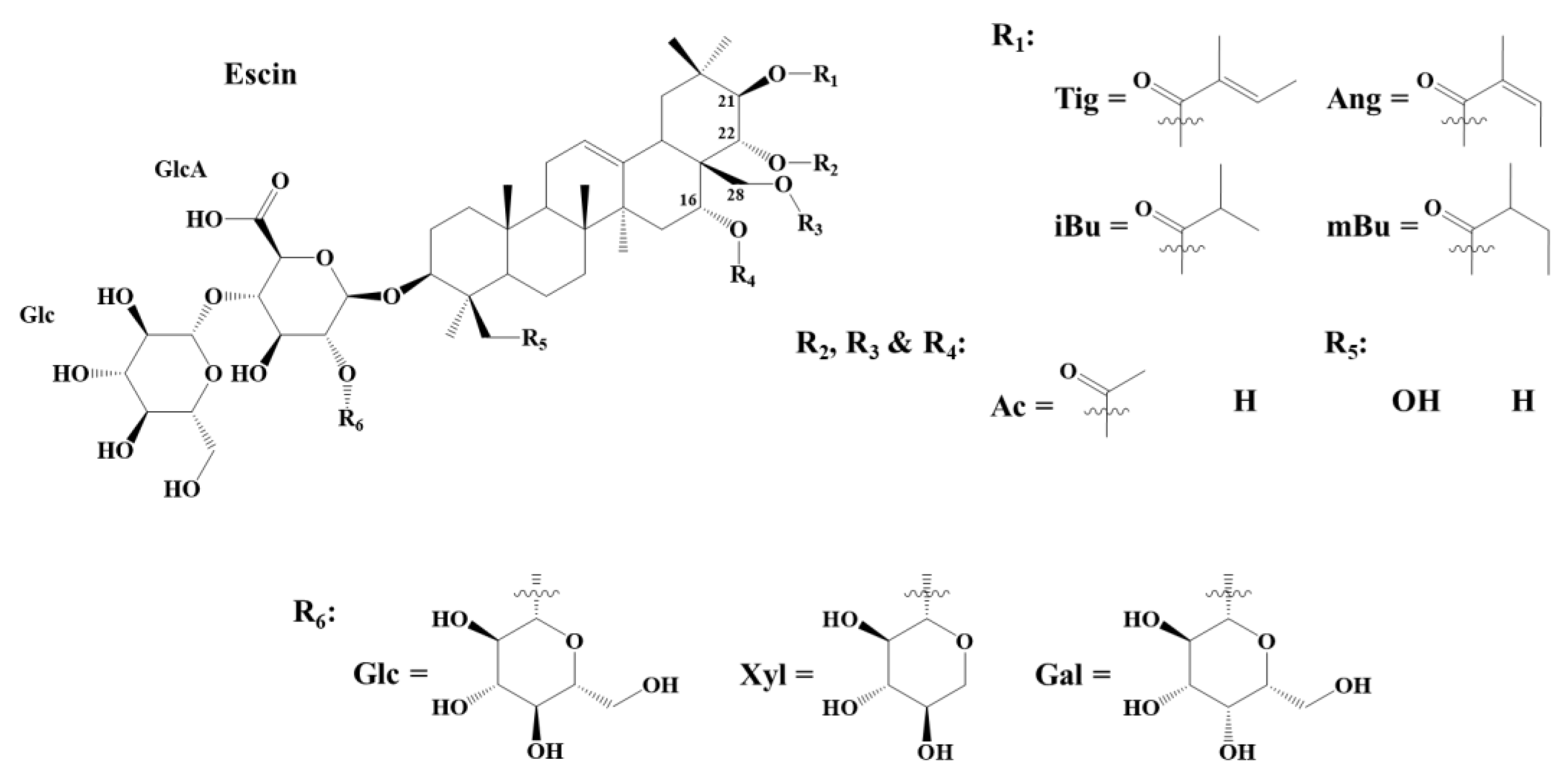 Molecules 28 02087 g001