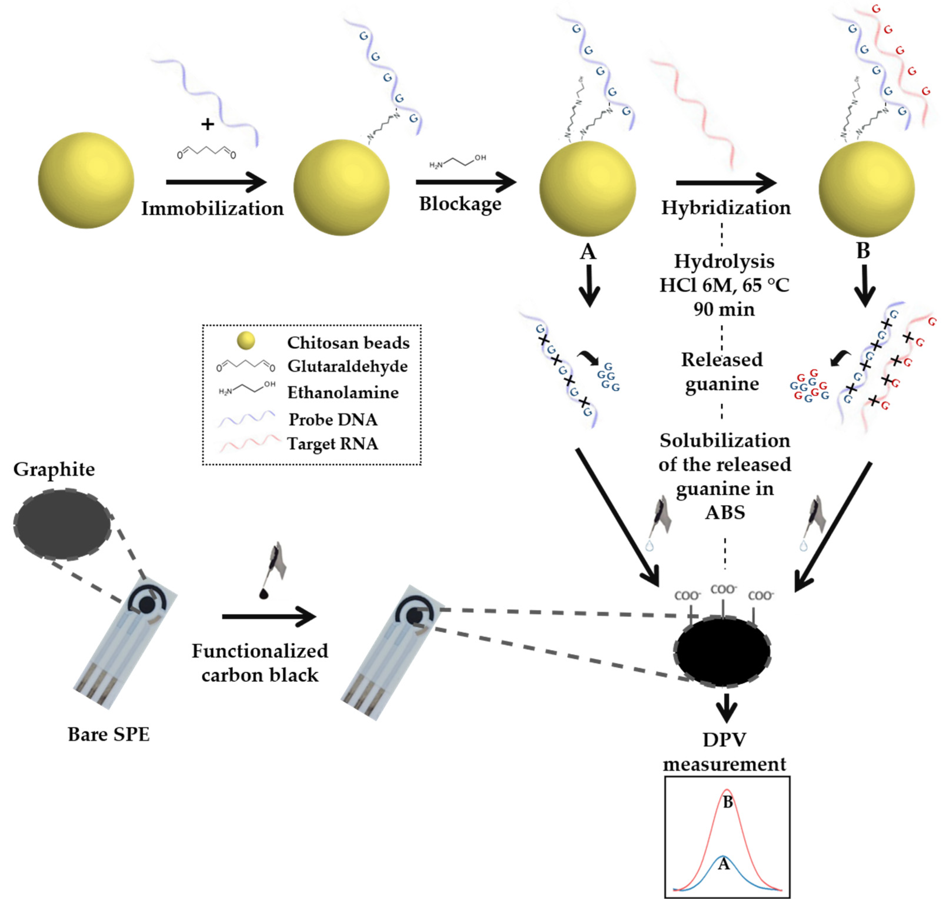 Molecules 28 02088 sch002