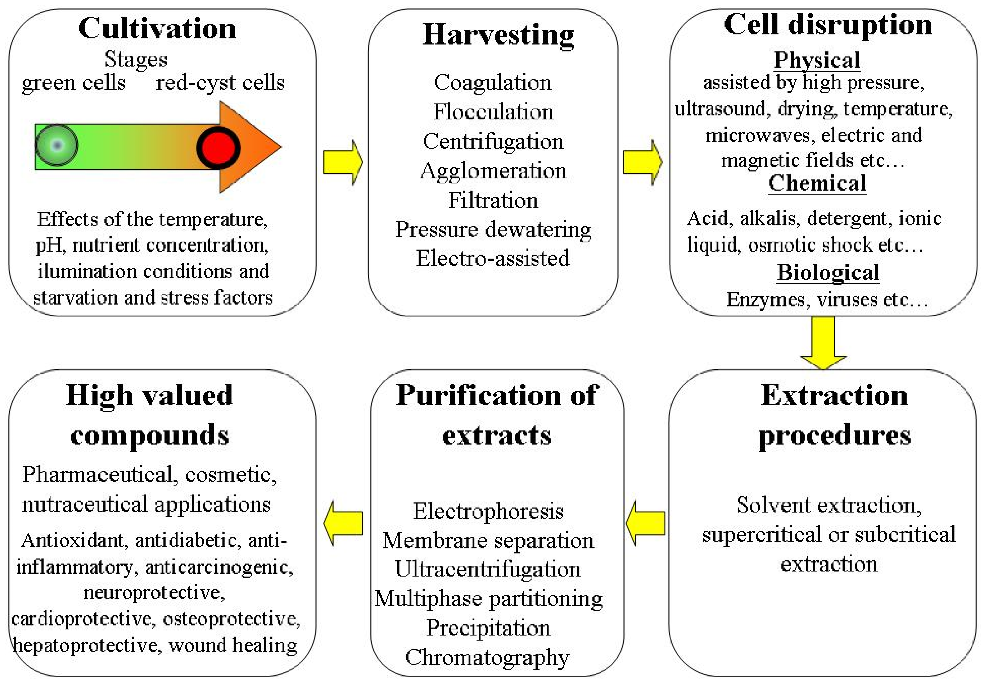 Molecules 28 02089 g001 Molecules 28 02089 g001