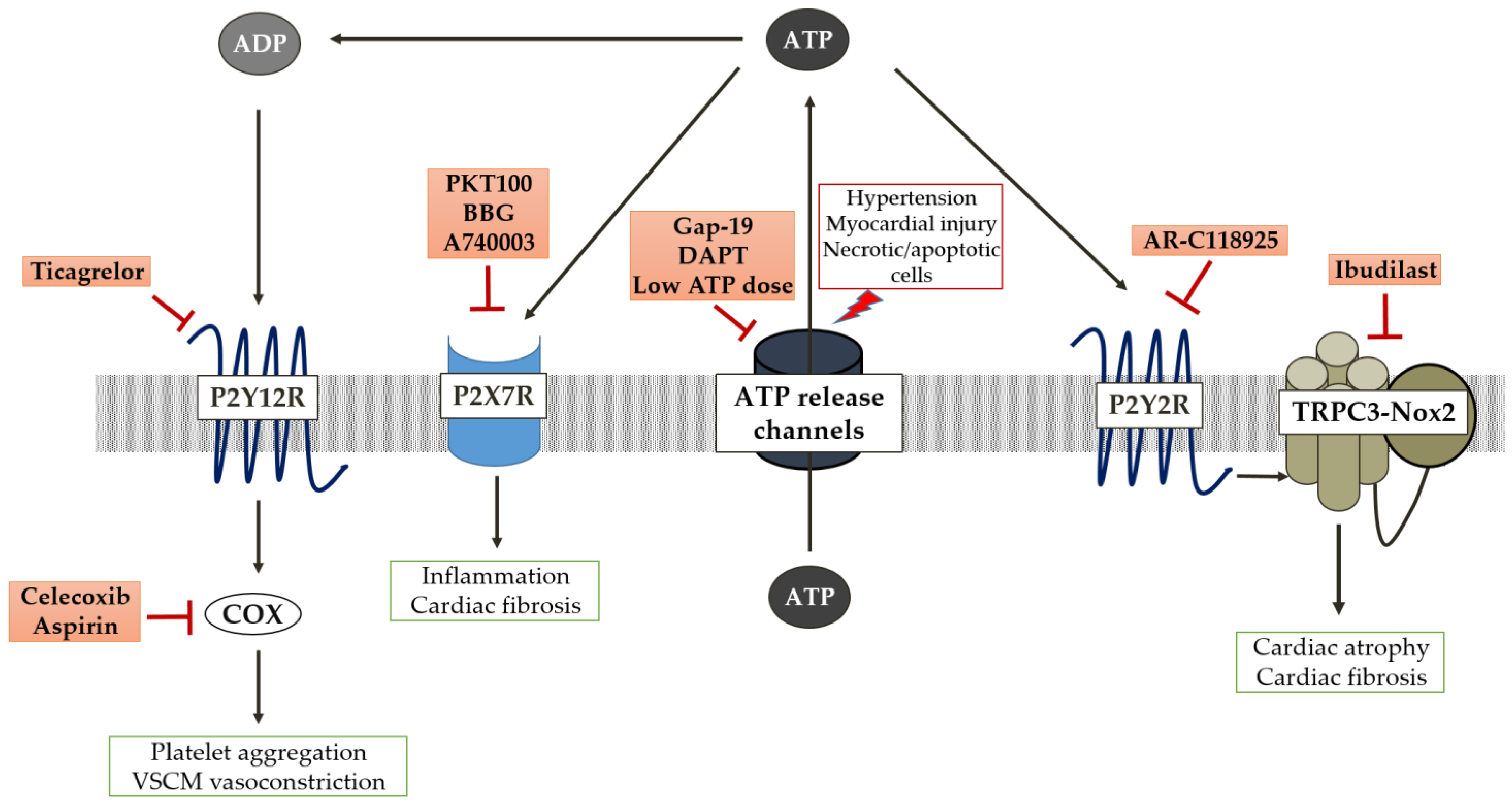 Molecules 28 02102 g002