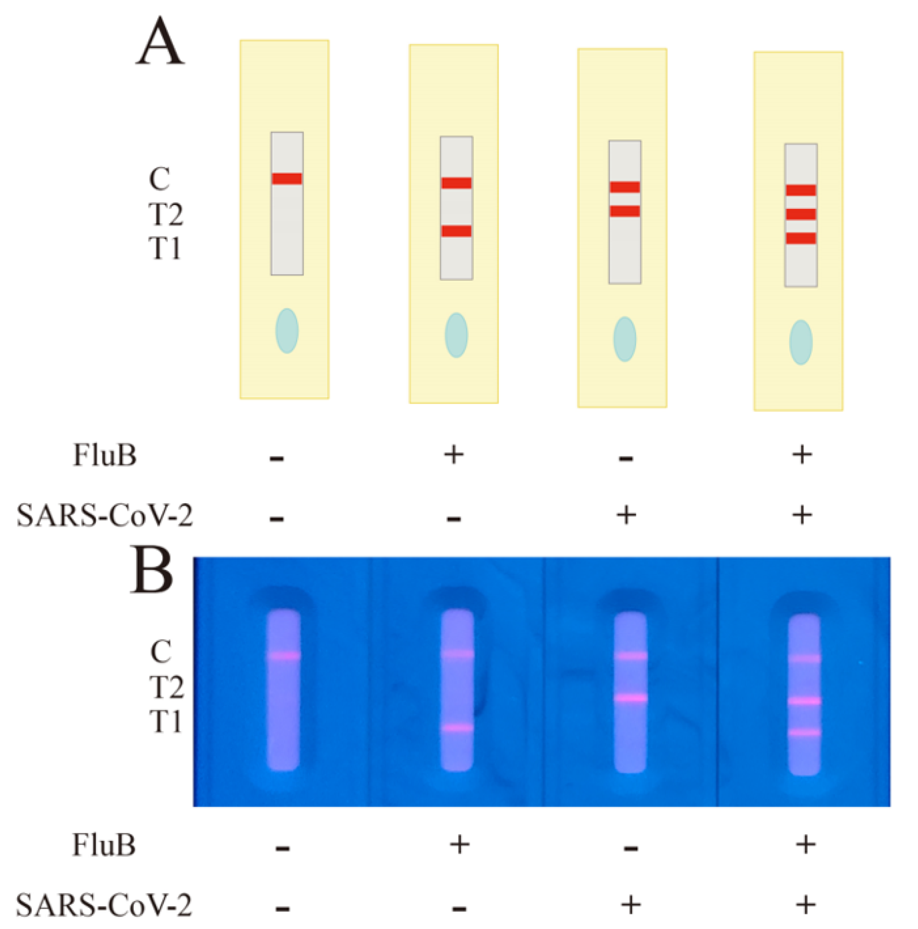 Molecules 28 02104 g004